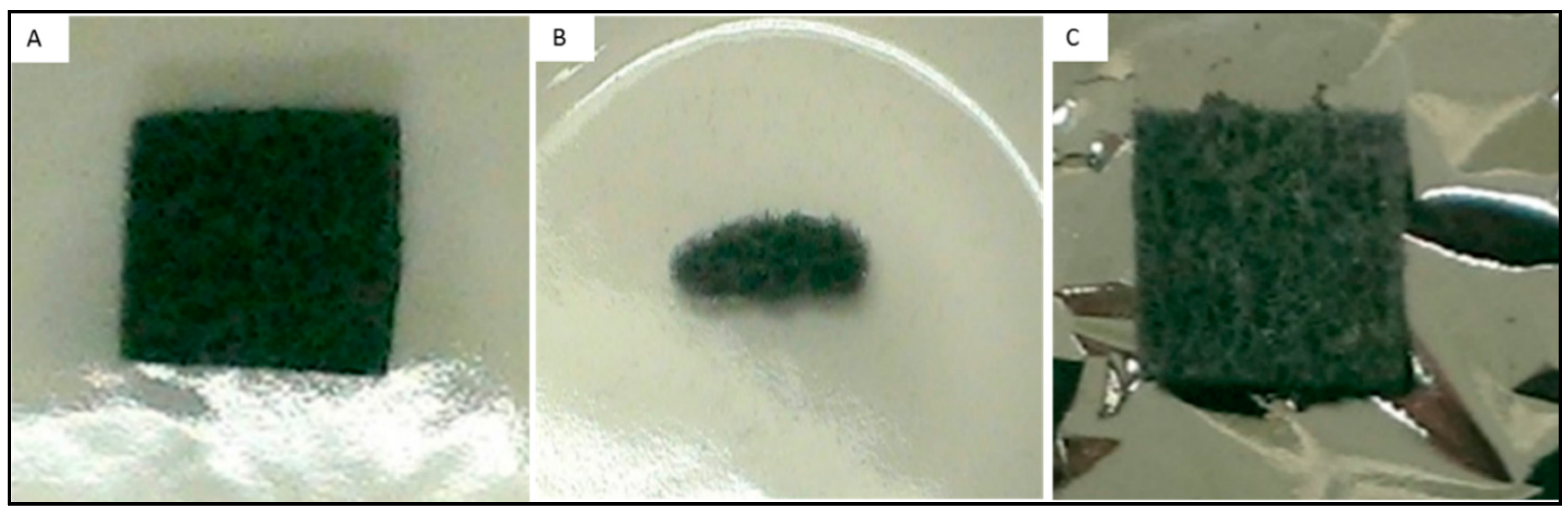 Carbon 02 00013 g001