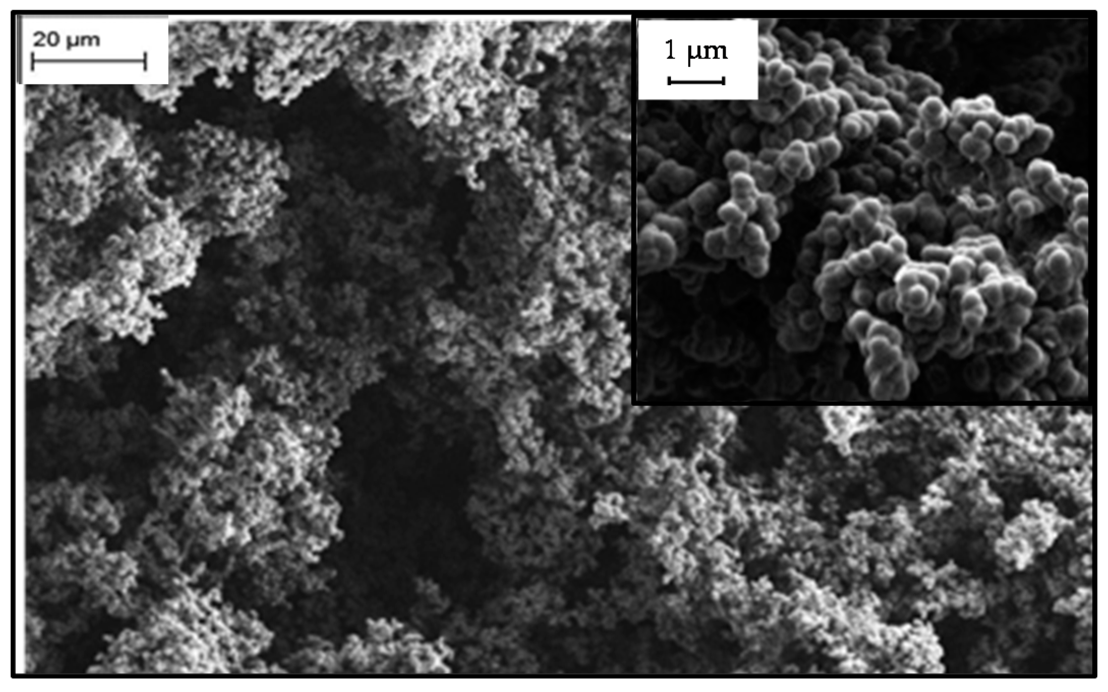 Carbon 02 00022 g002