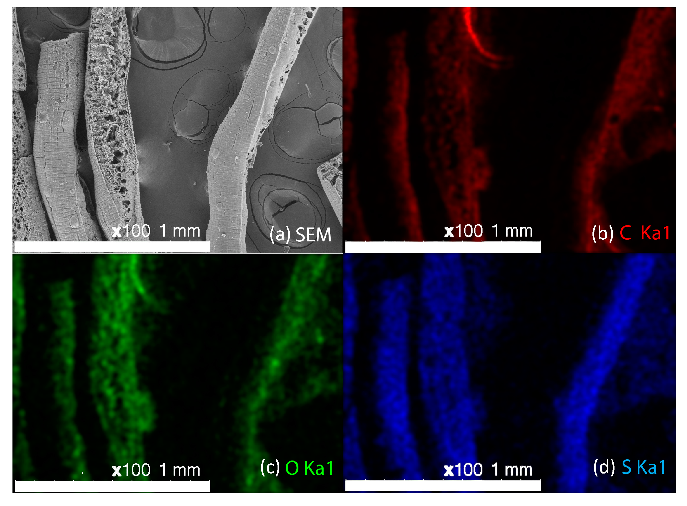 Carbon 03 00035 g004 550