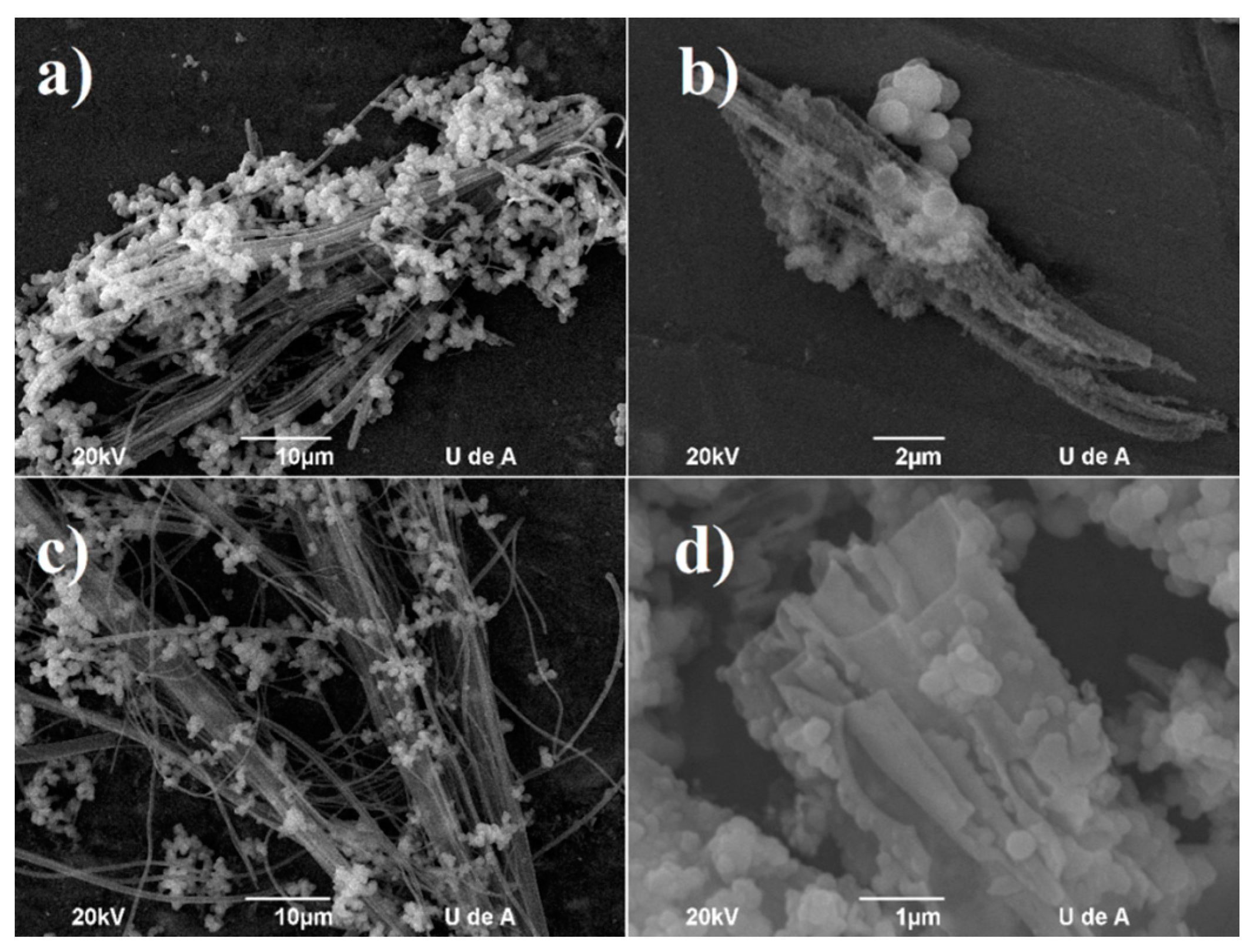 Carbon 04 00001 g001