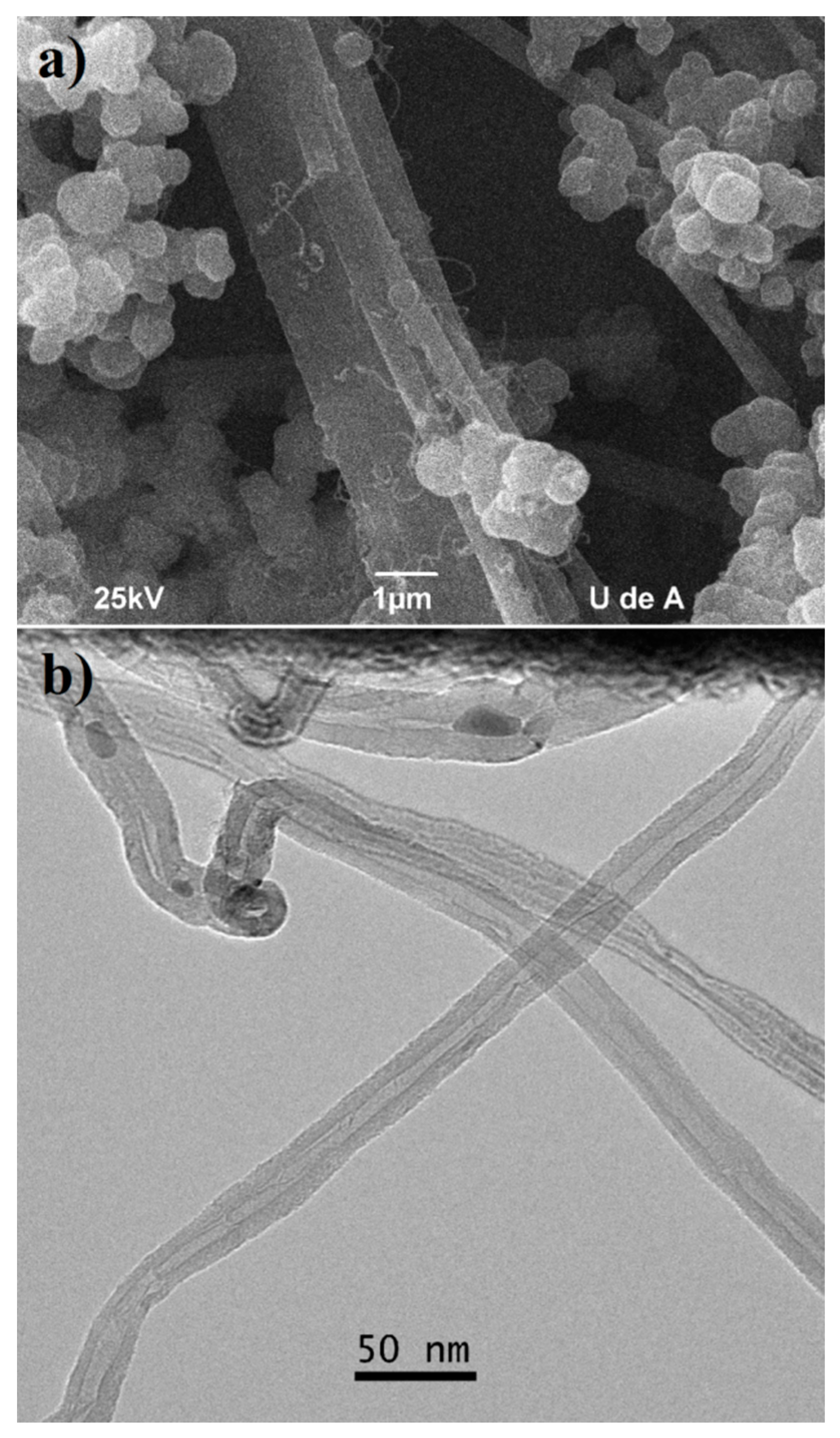 Carbon 04 00001 g006