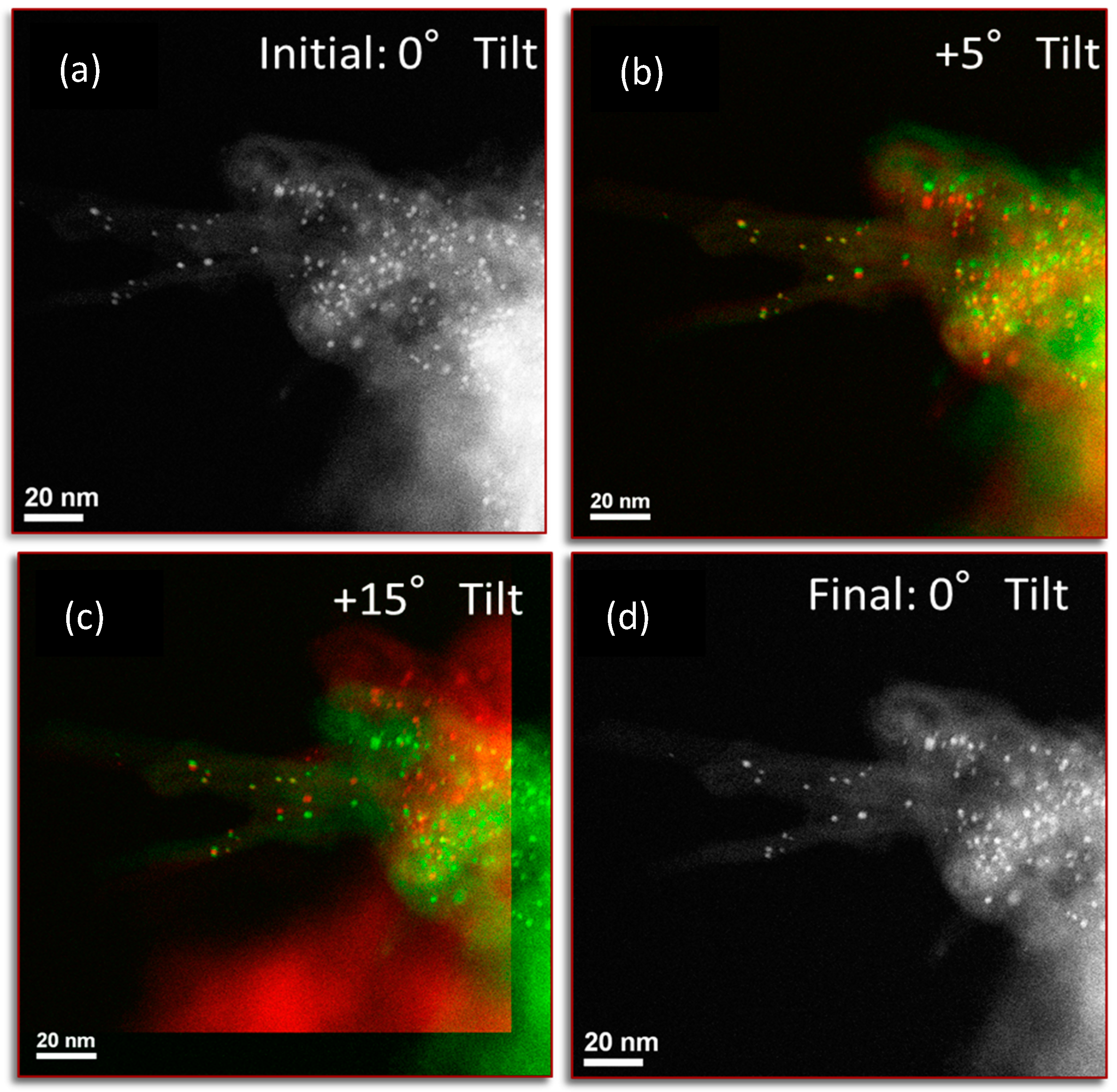 Carbon 04 00012 g005
