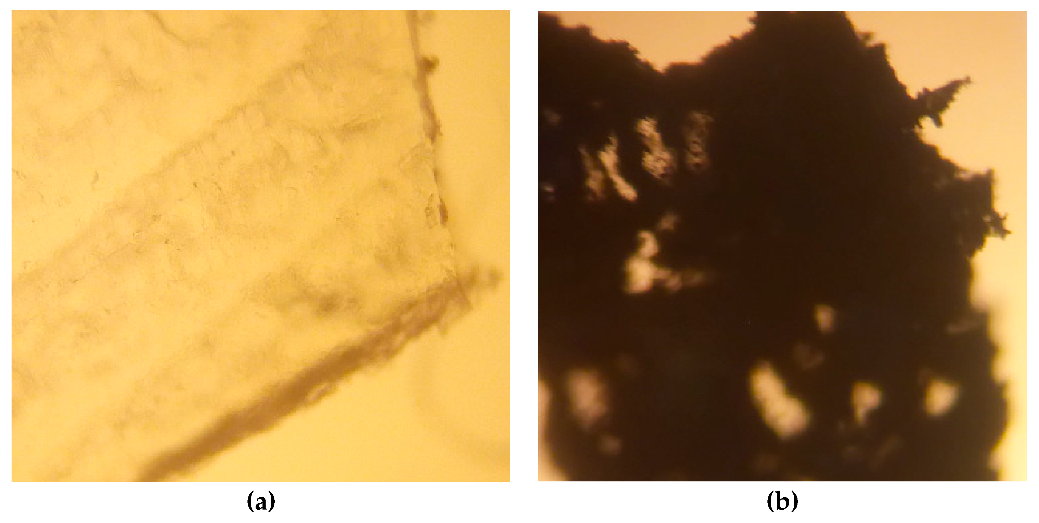 Carbon 04 00015 g007