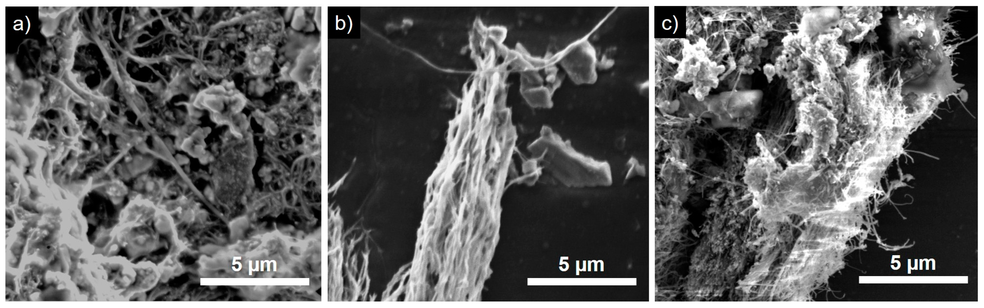 Carbon 04 00017 g004