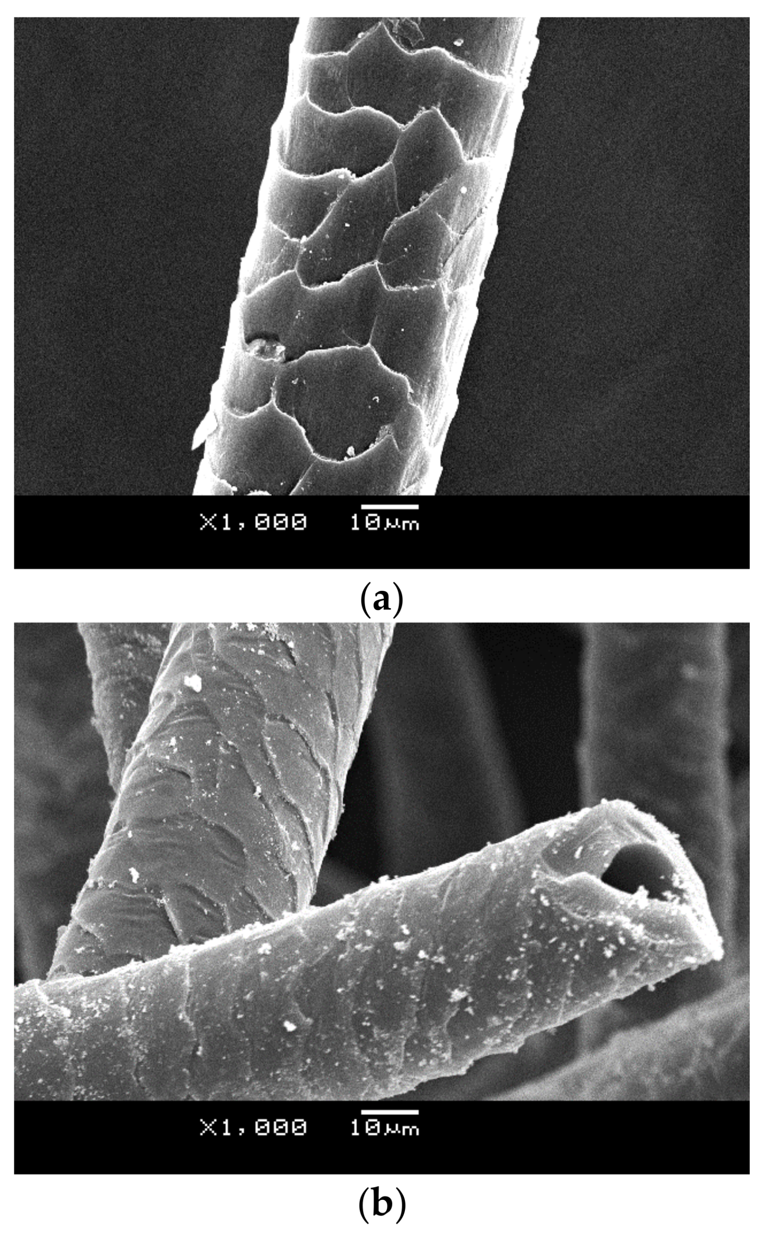 Carbon 04 00024 g002