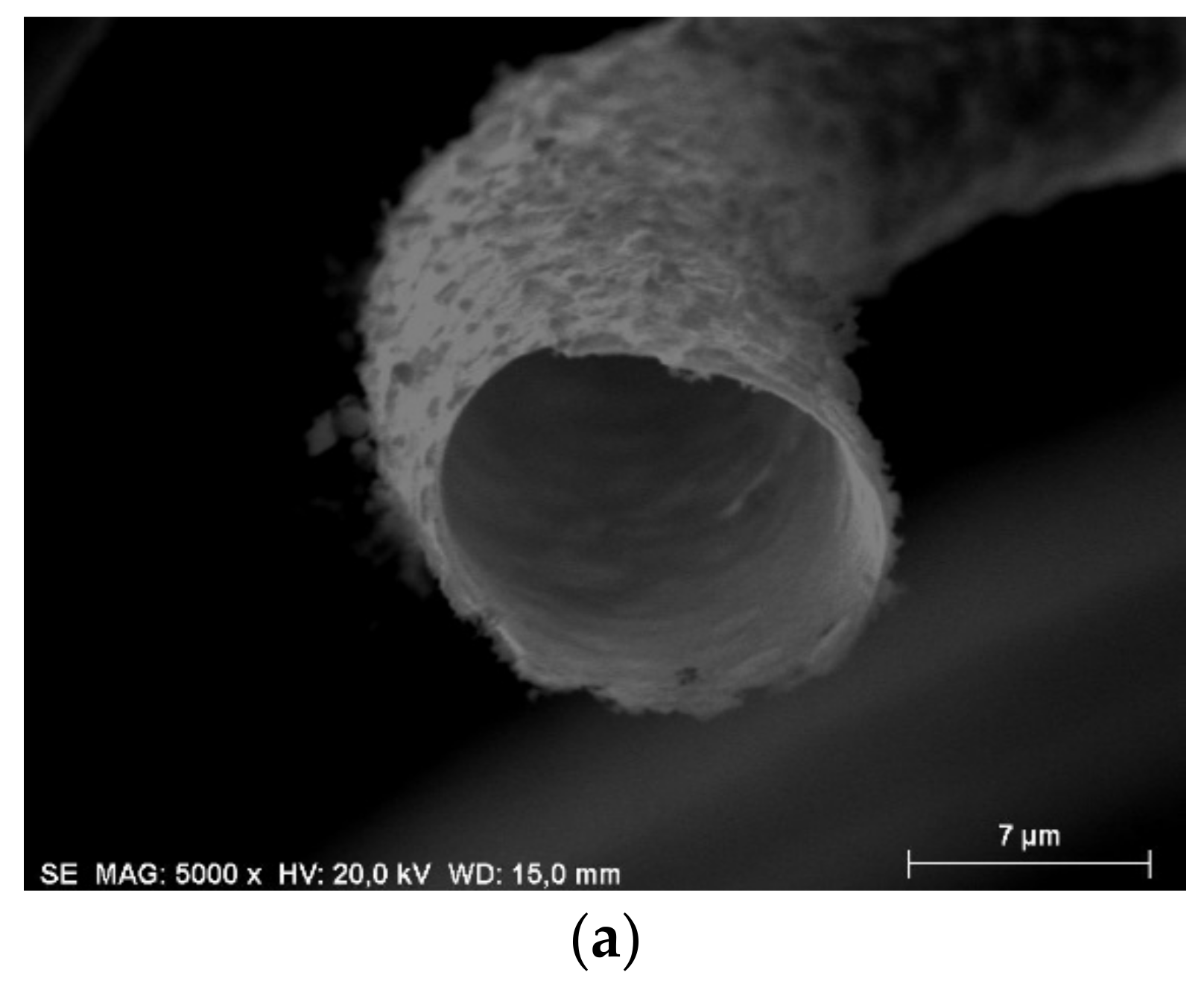 Carbon 04 00024 g003a