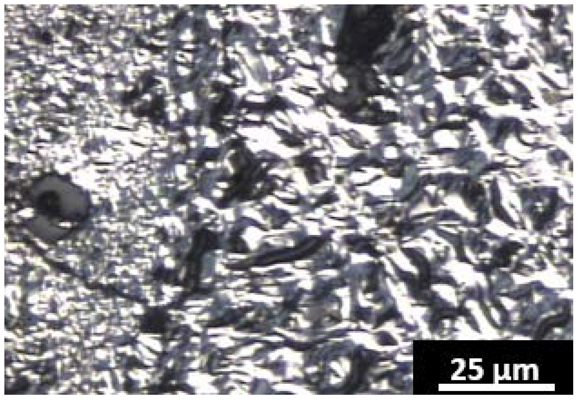 Carbon 04 00027 g005