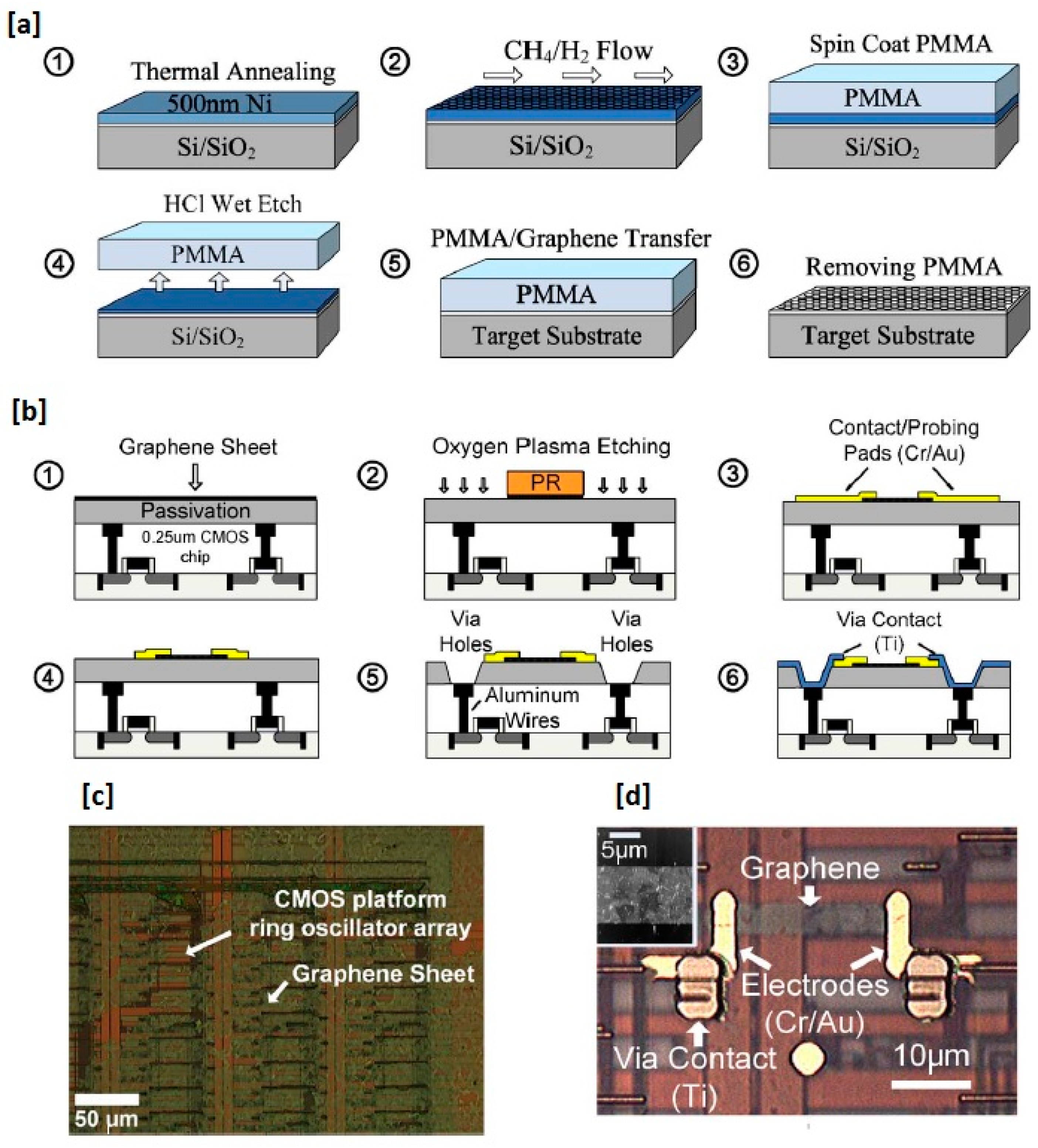 C Free FullText Graphene Nanoribbon as Potential OnChip