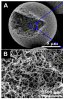 Carbon 04 00053 i011