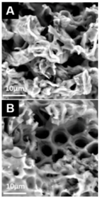 Carbon 04 00053 i017