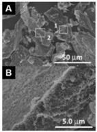 Carbon 04 00053 i018