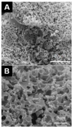 Carbon 04 00053 i019