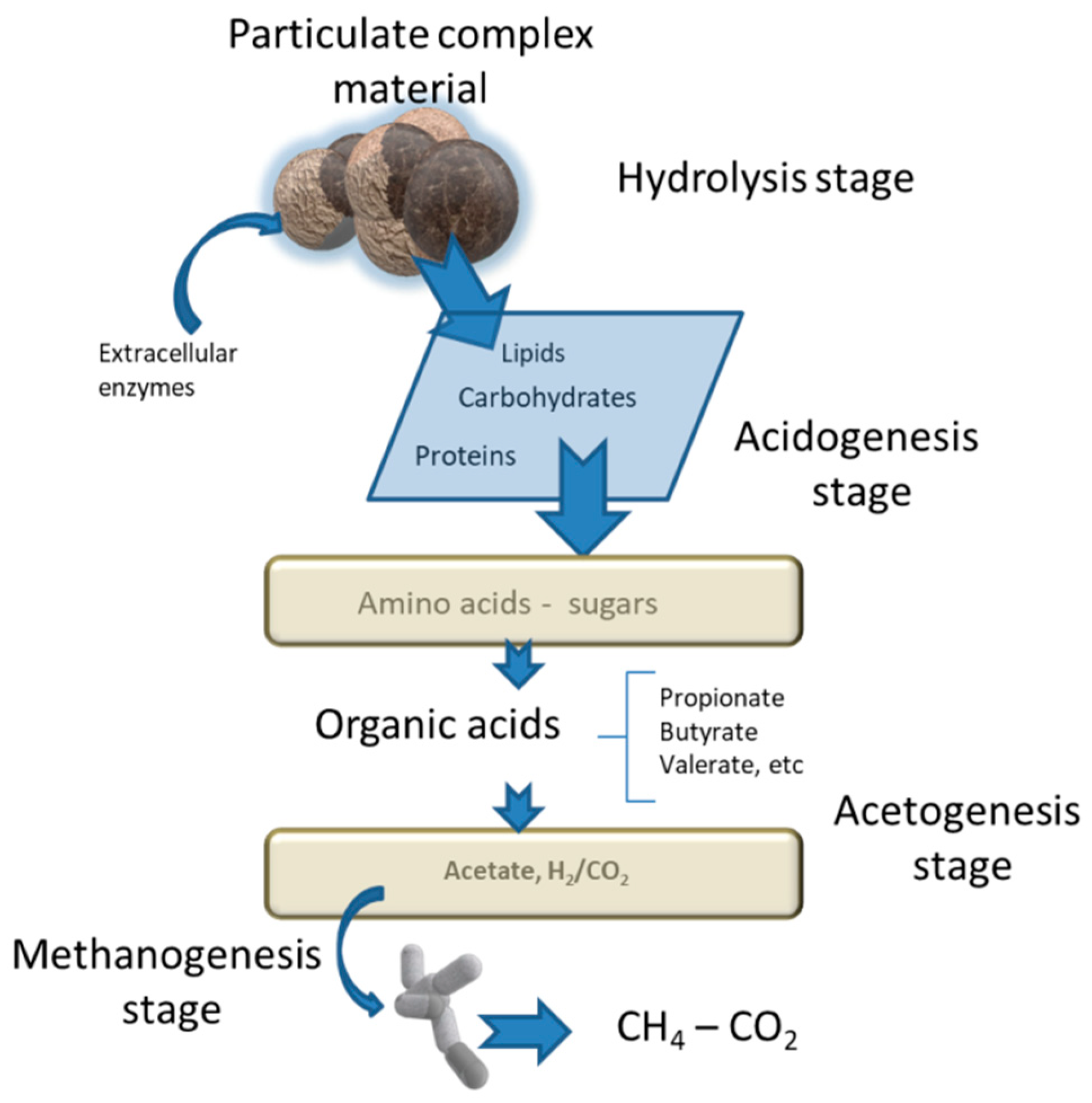 C Free FullText Enhancing Anaerobic Digestion The Effect of