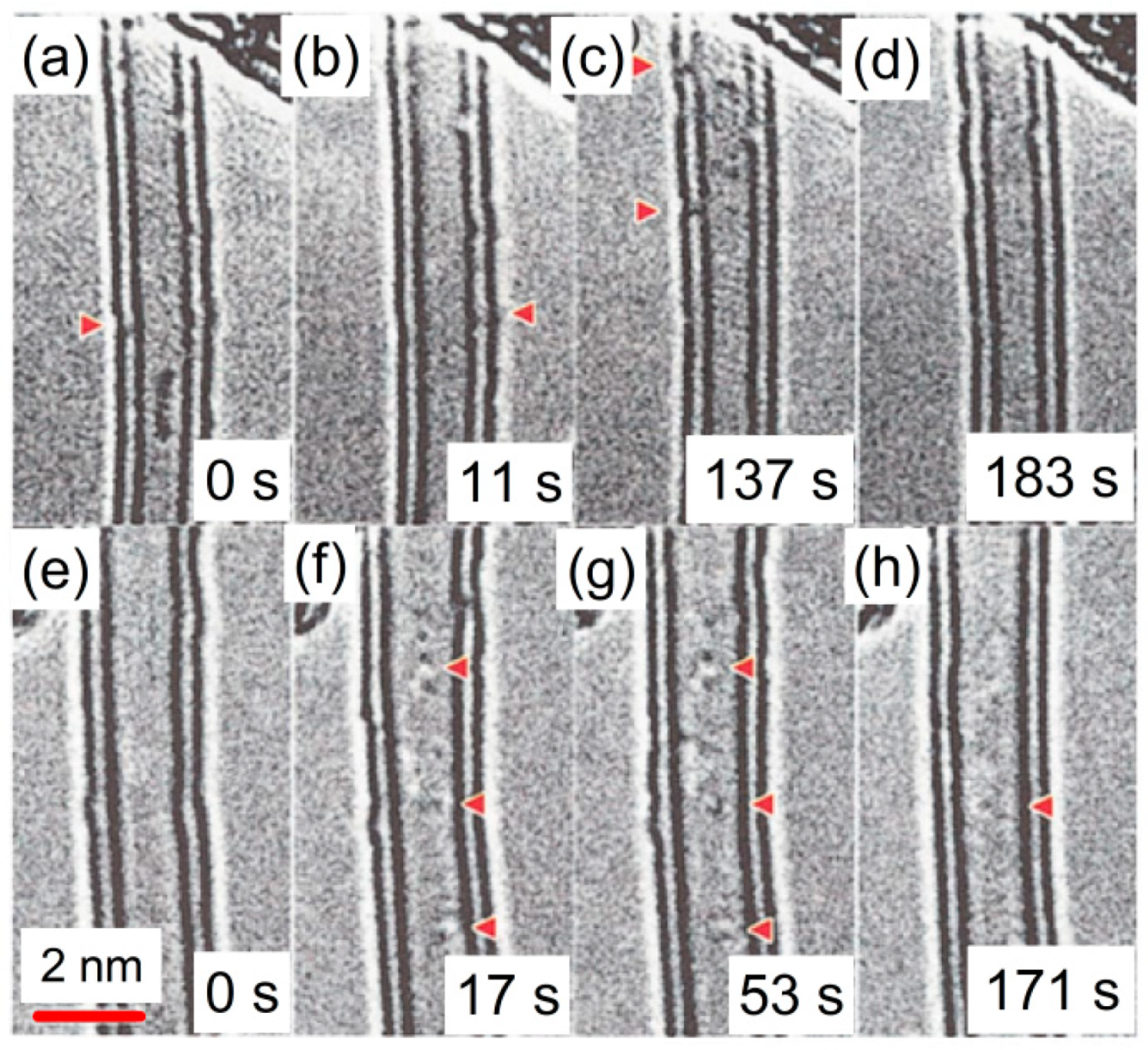 Carbon 04 00068 g033
