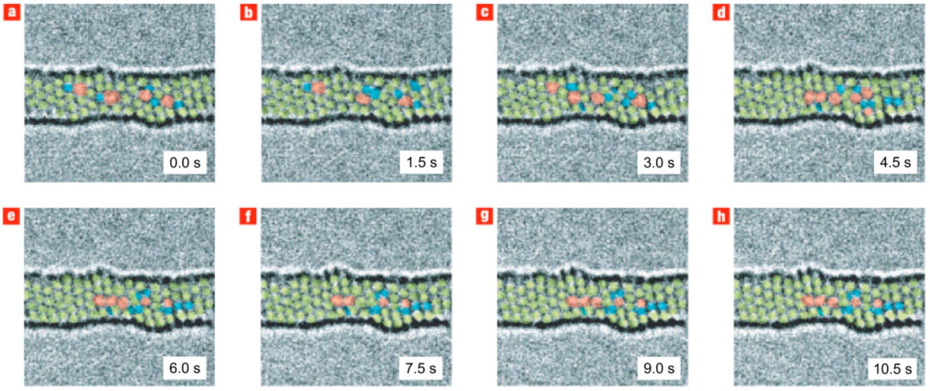 Carbon 04 00068 g039