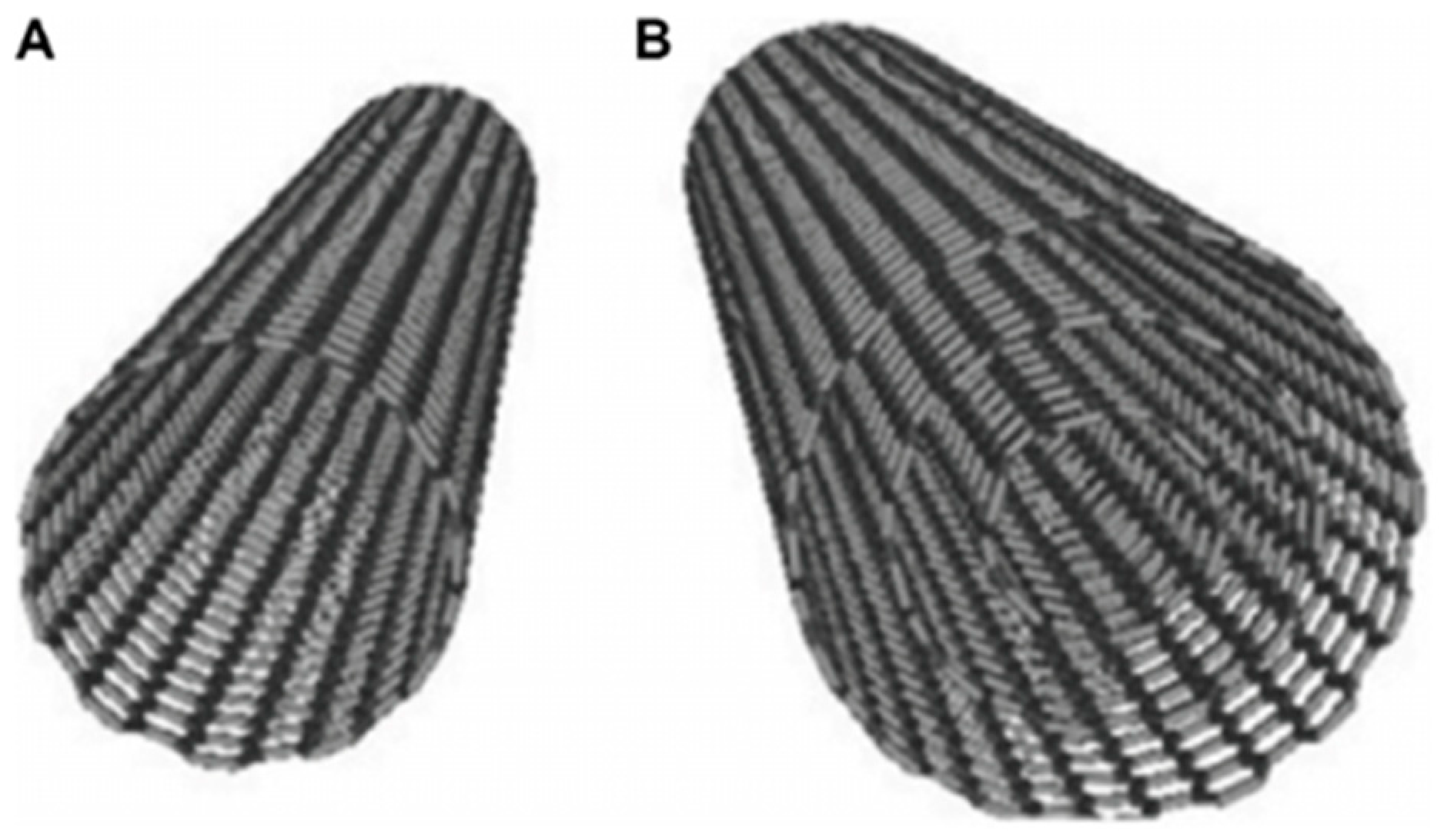 Carbon 05 00003 g002