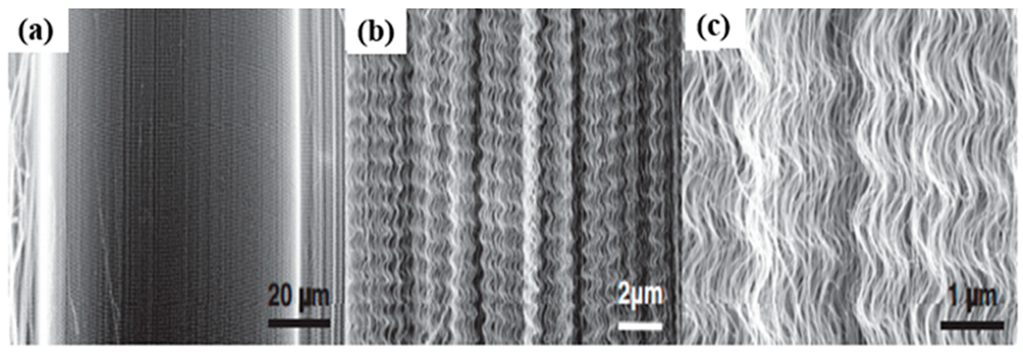 Carbon 05 00003 g008