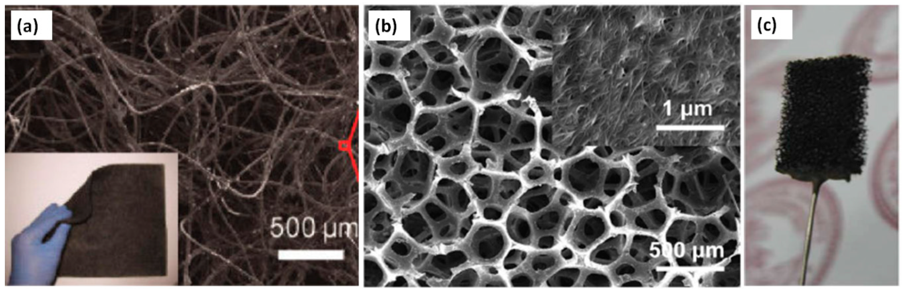 Carbon 05 00003 g012