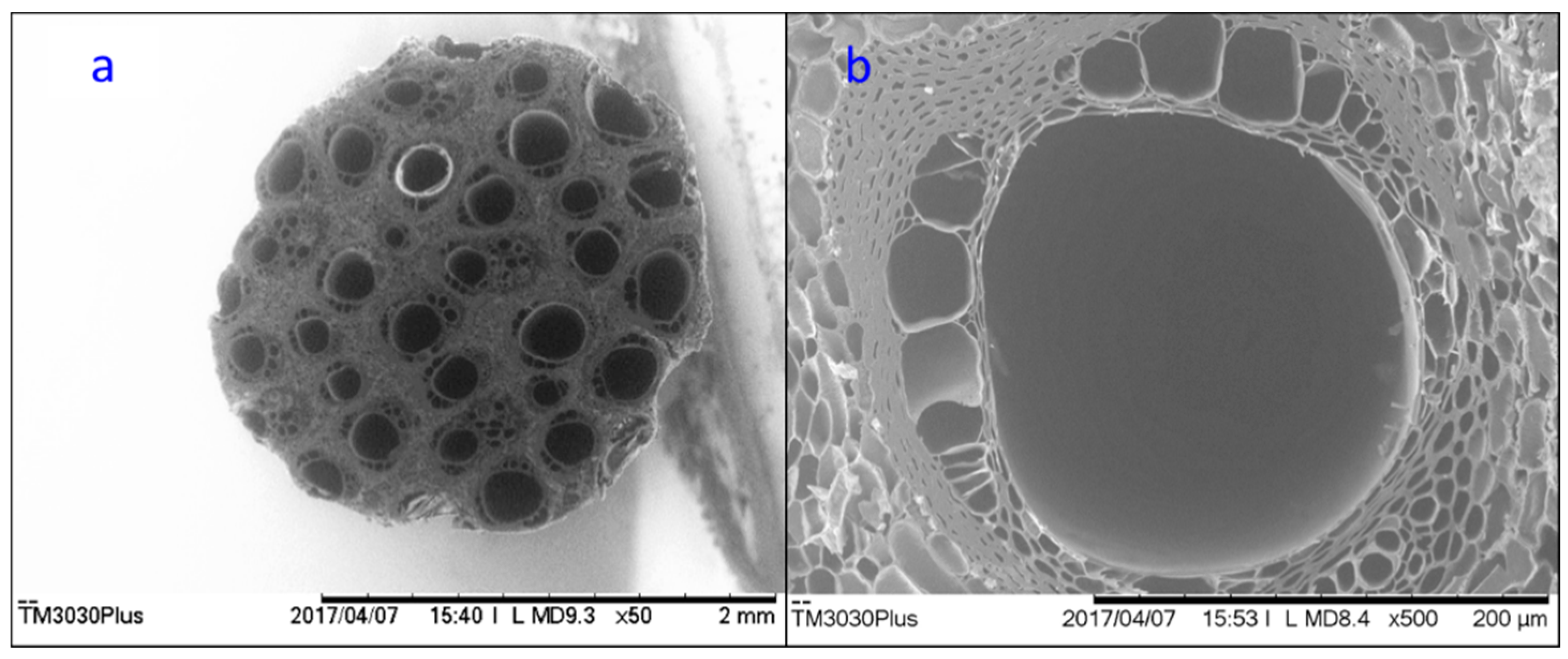Carbon 05 00009 g003