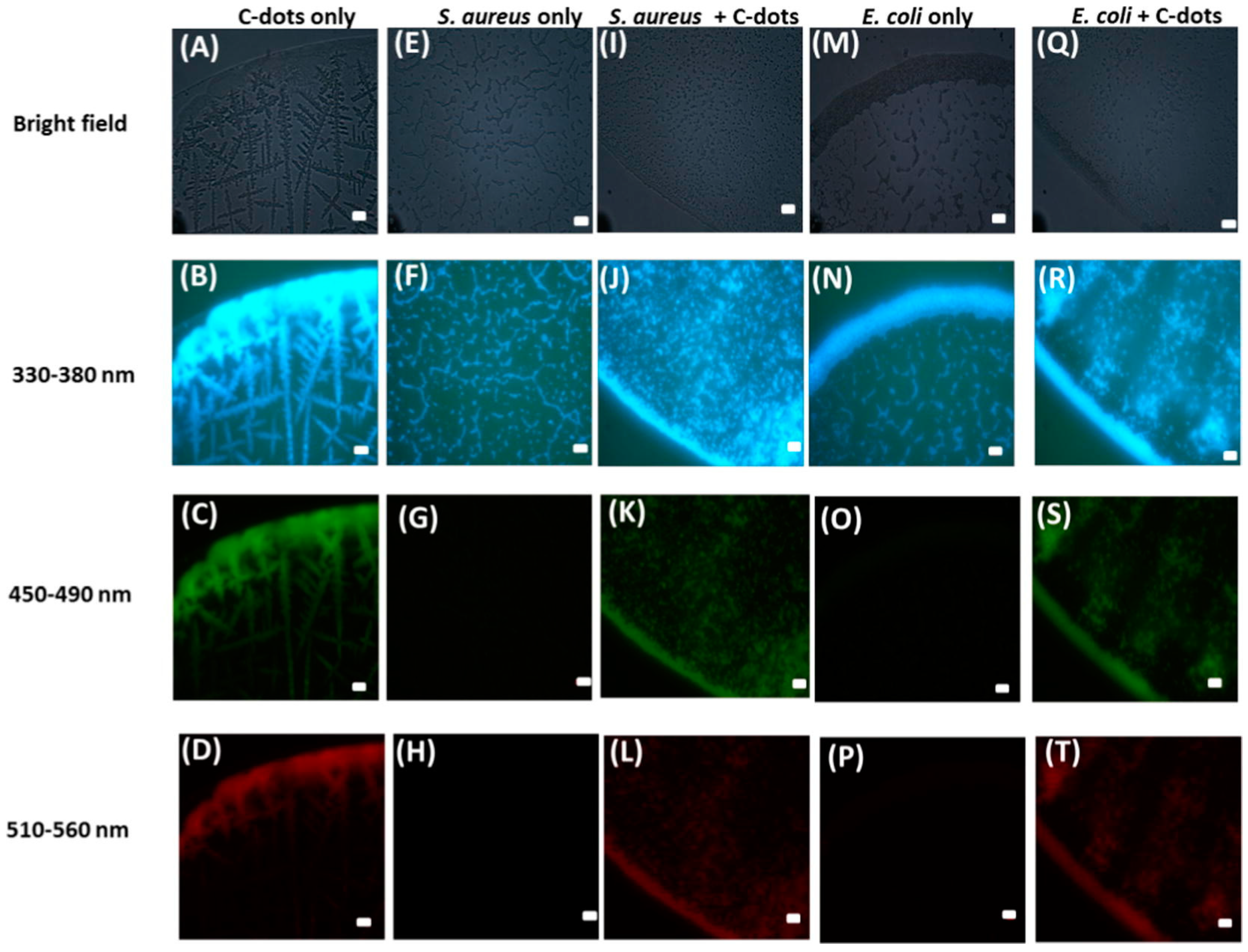 C Free Full Text Bioimaging Applications Of Carbon Nanodots A Review Html