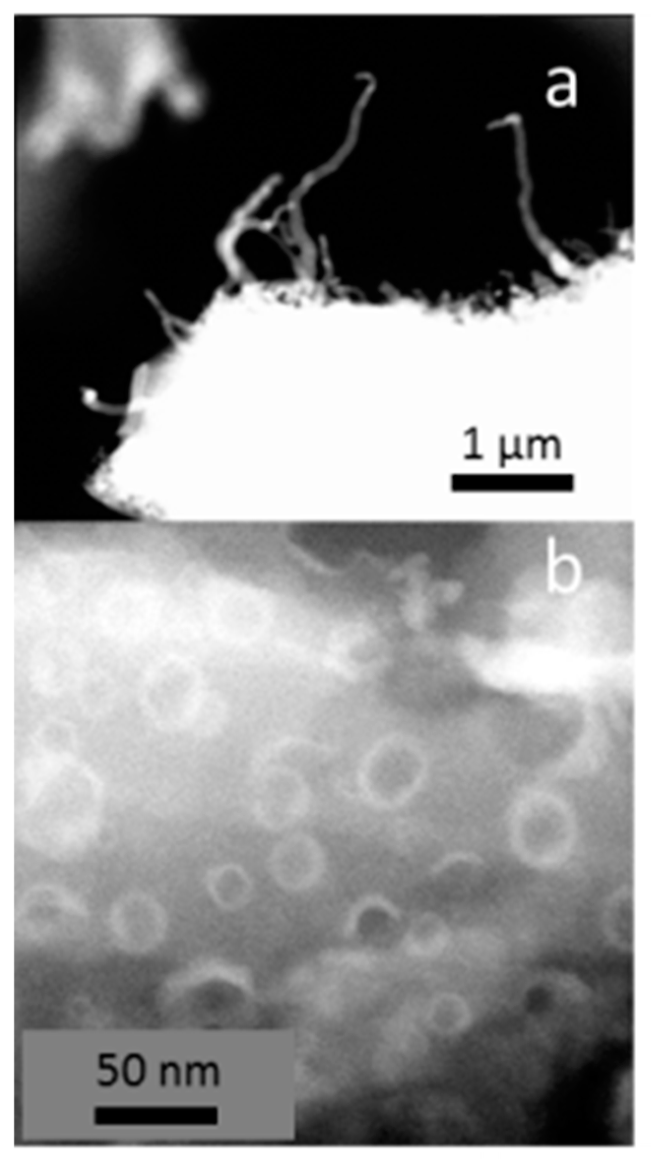 Carbon 05 00021 g004