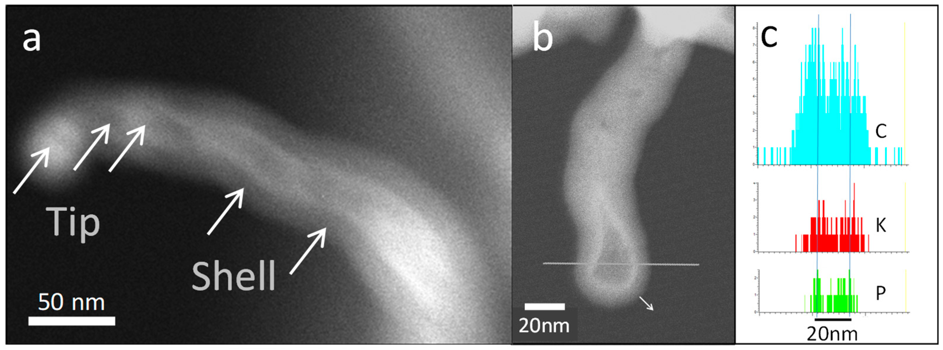Carbon 05 00021 g006
