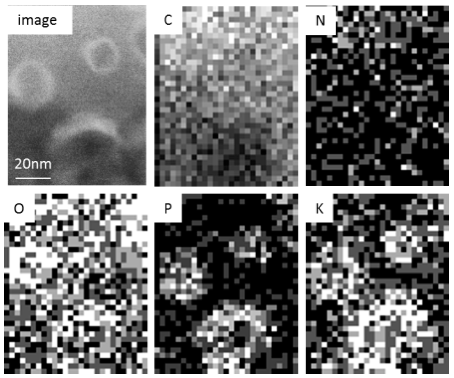 Carbon 05 00021 g007
