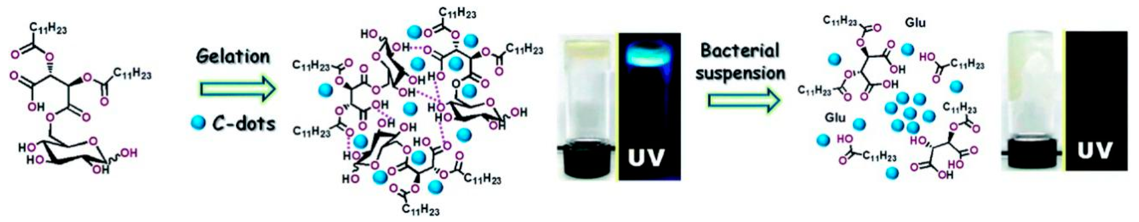 Carbon 05 00033 g002 Carbon 05 00033 g002