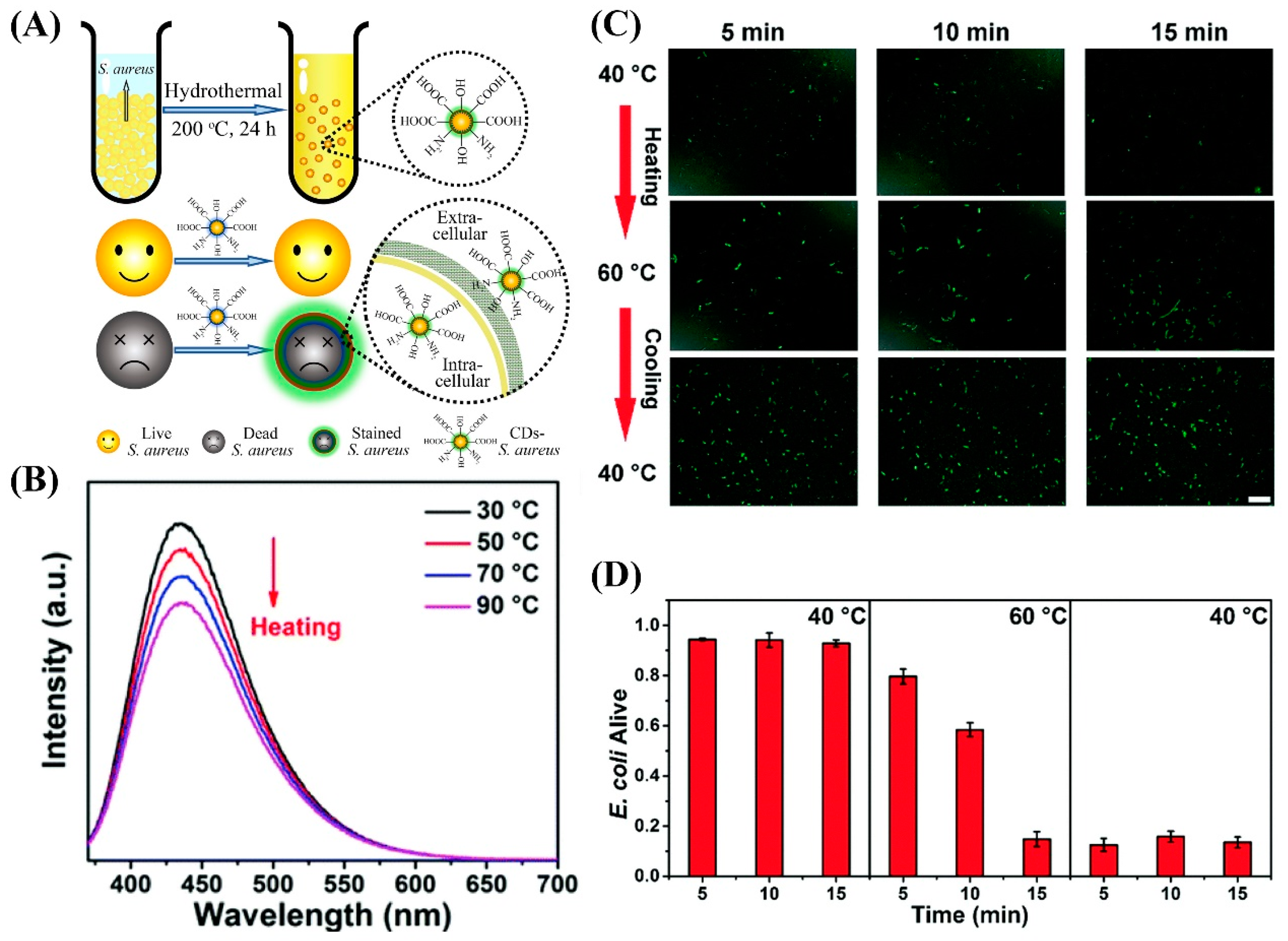 Carbon 05 00033 g004 Carbon 05 00033 g004