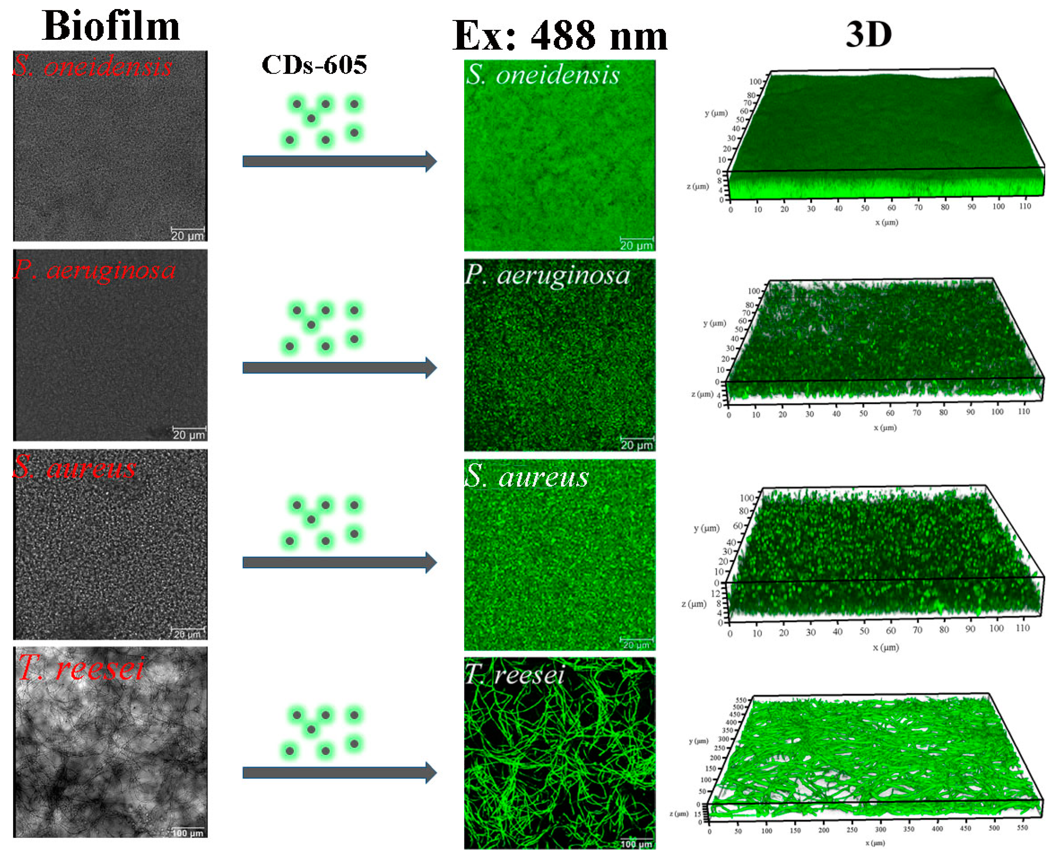Carbon 05 00033 g005 Carbon 05 00033 g005