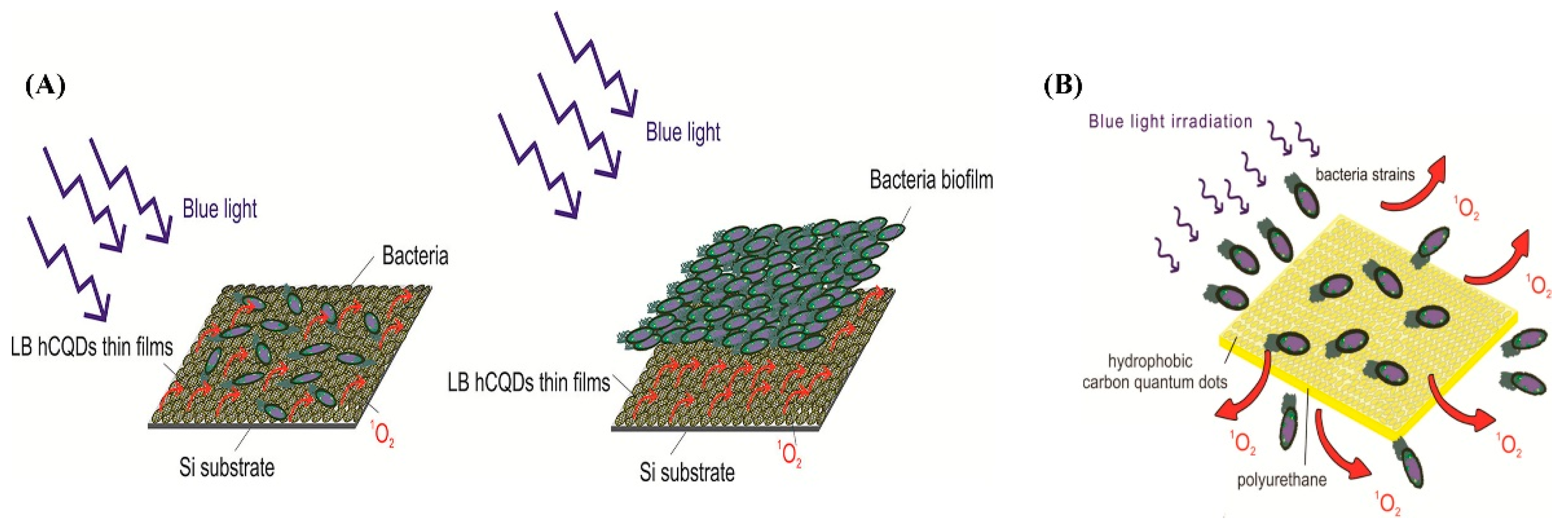 Carbon 05 00033 g007 Carbon 05 00033 g007