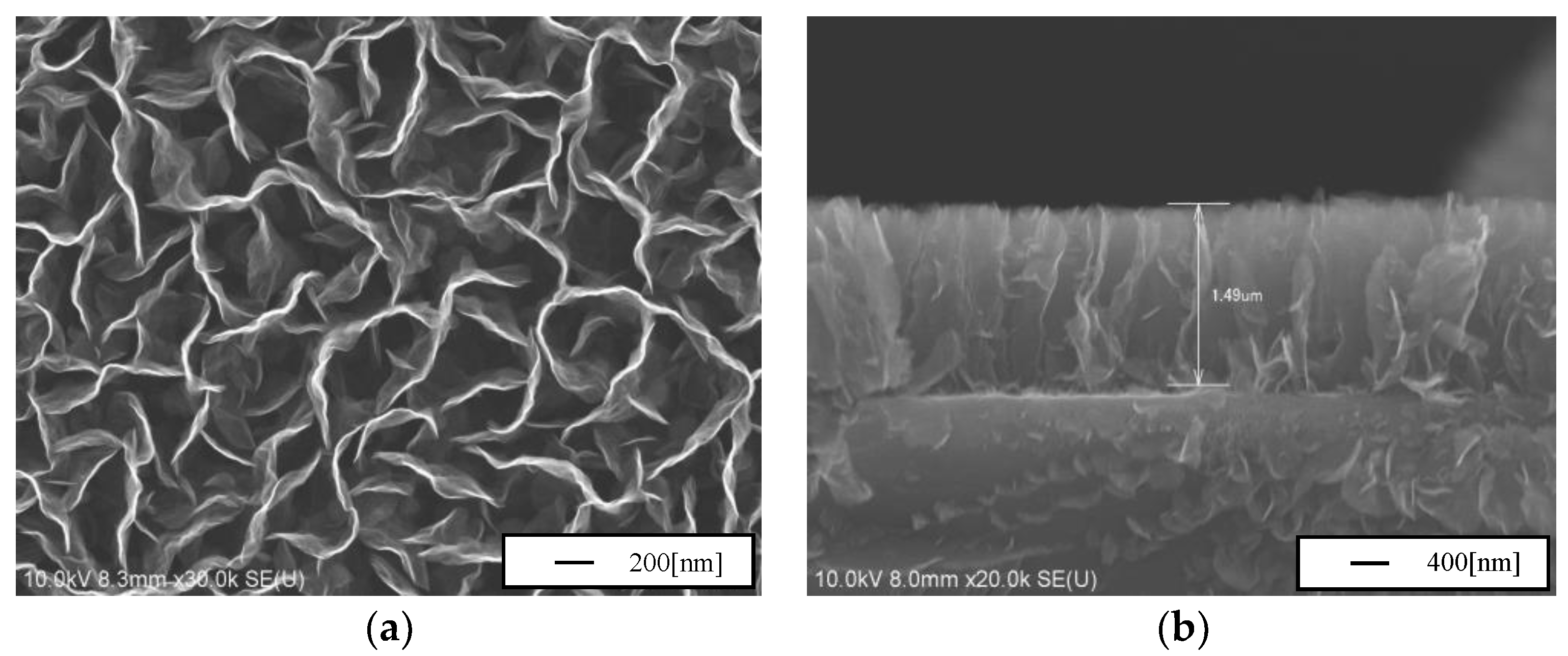 Carbon 05 00040 g001