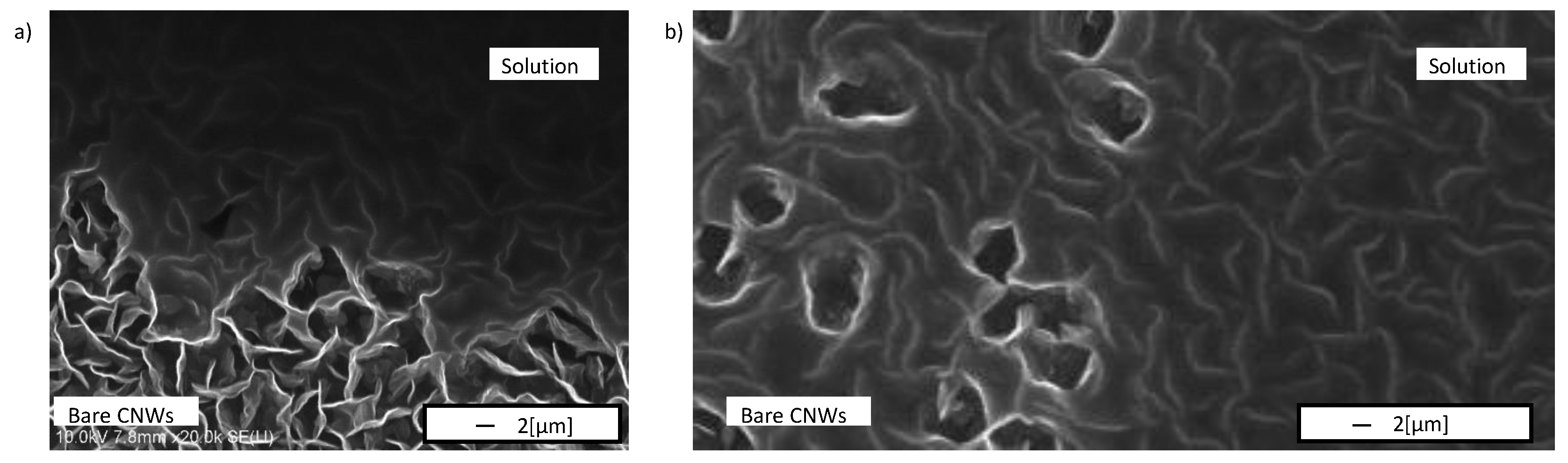 Carbon 05 00040 g004