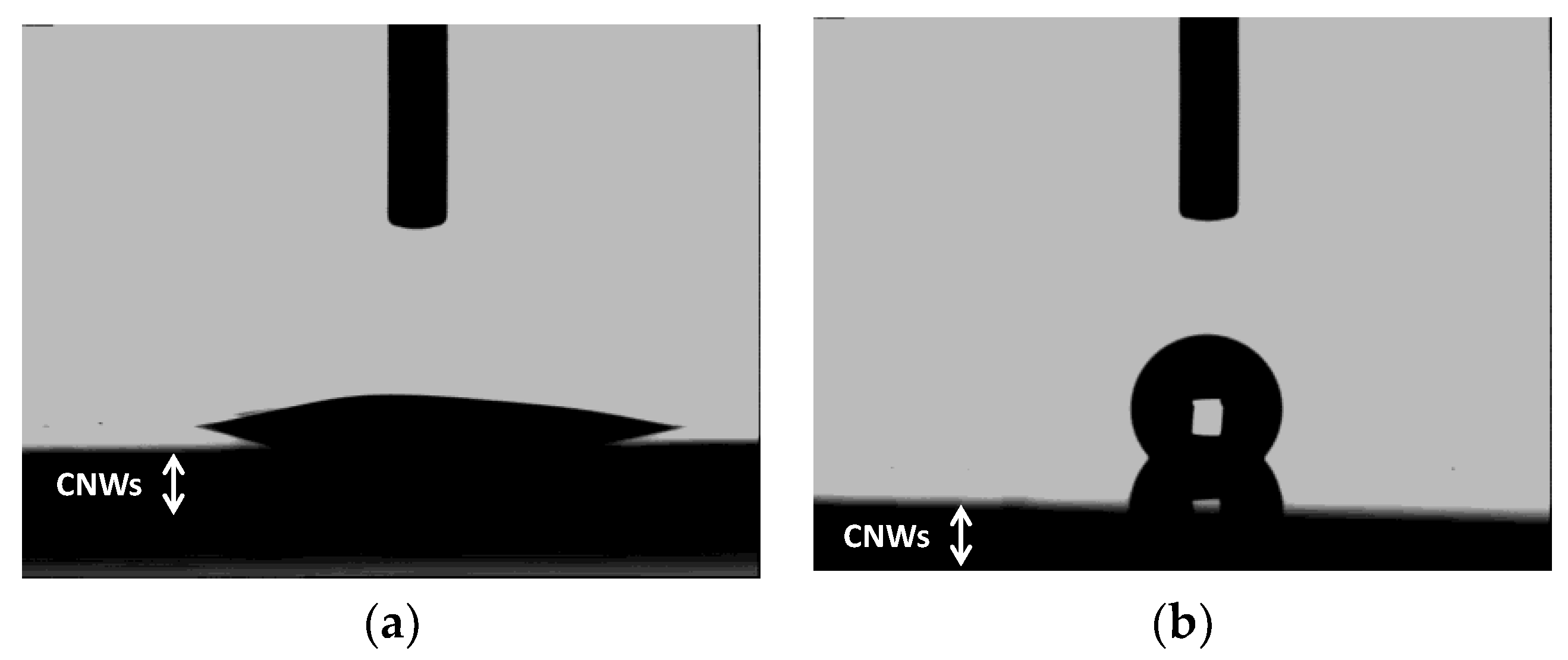 Carbon 05 00040 g005