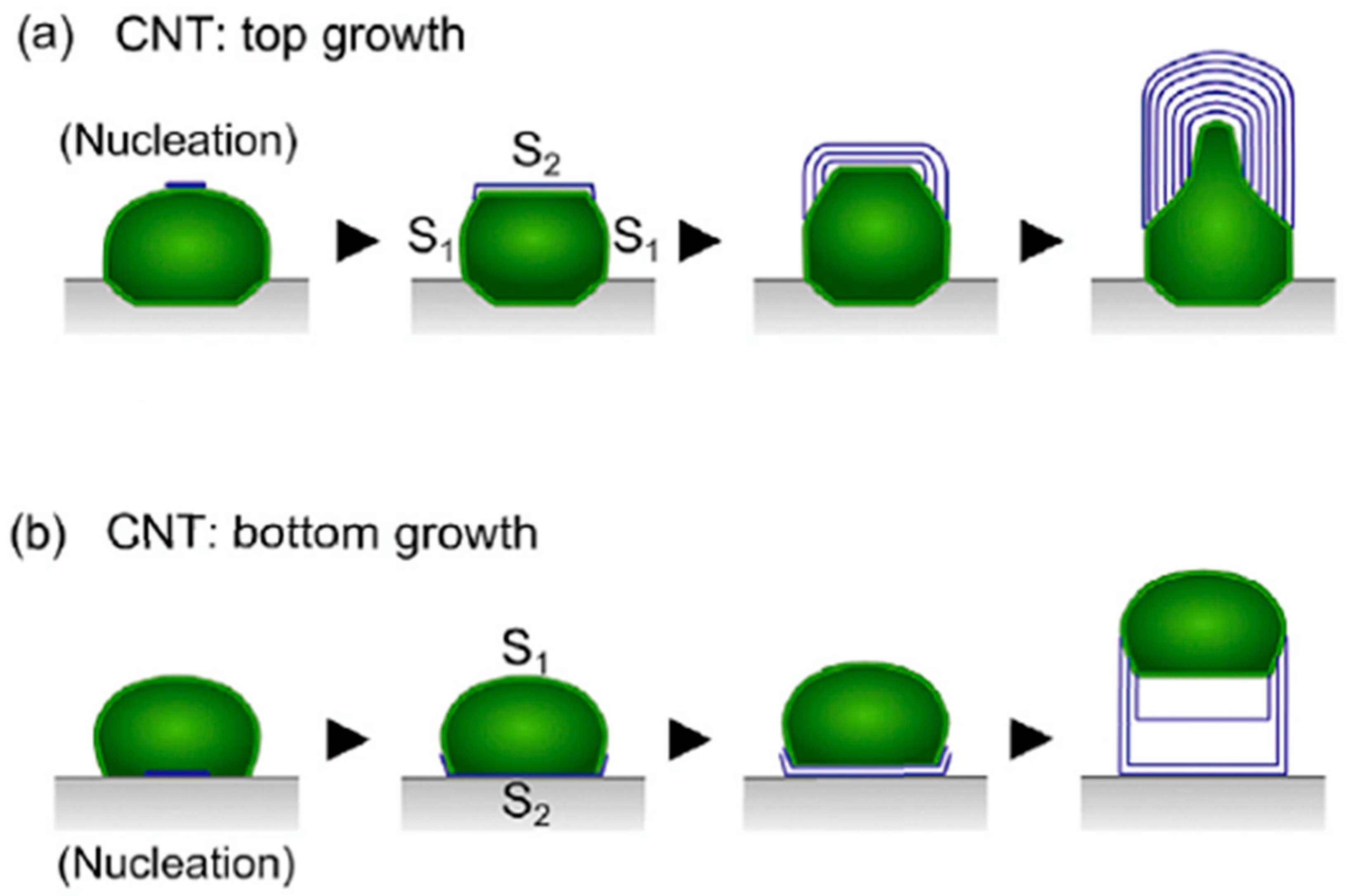 Carbon 05 00042 g003