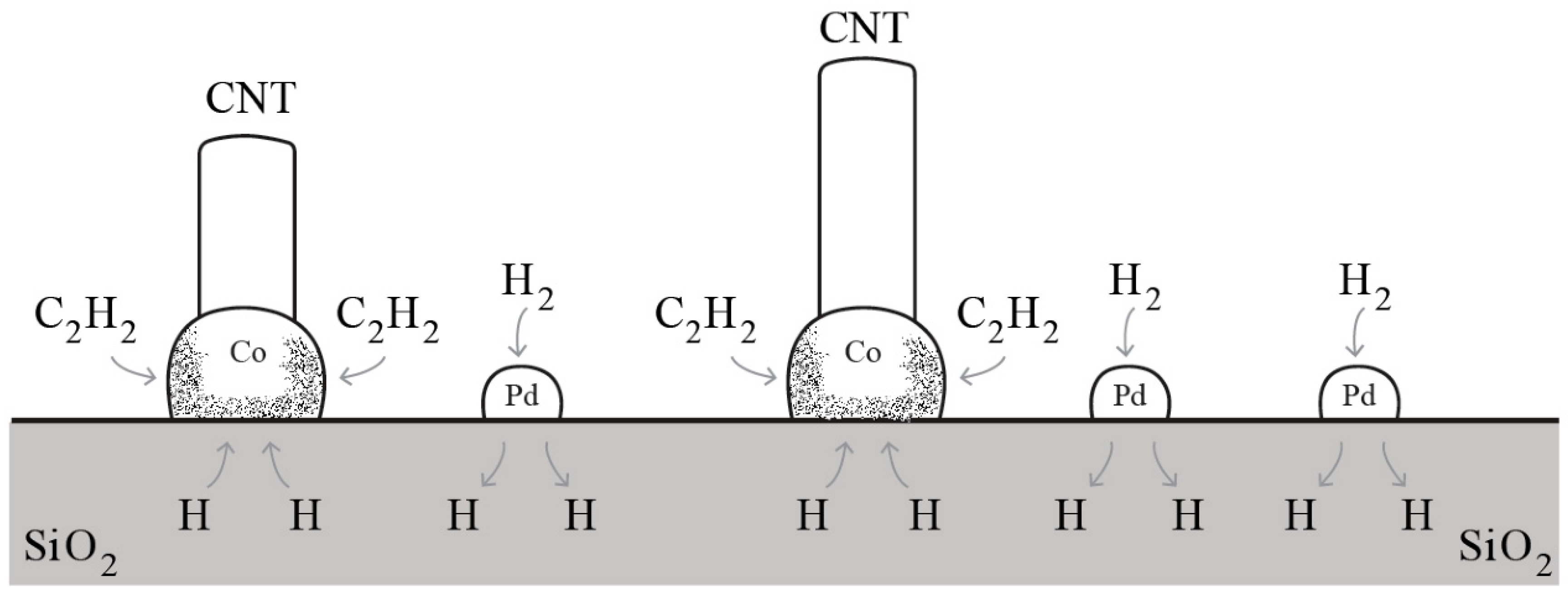 Carbon 05 00042 g007