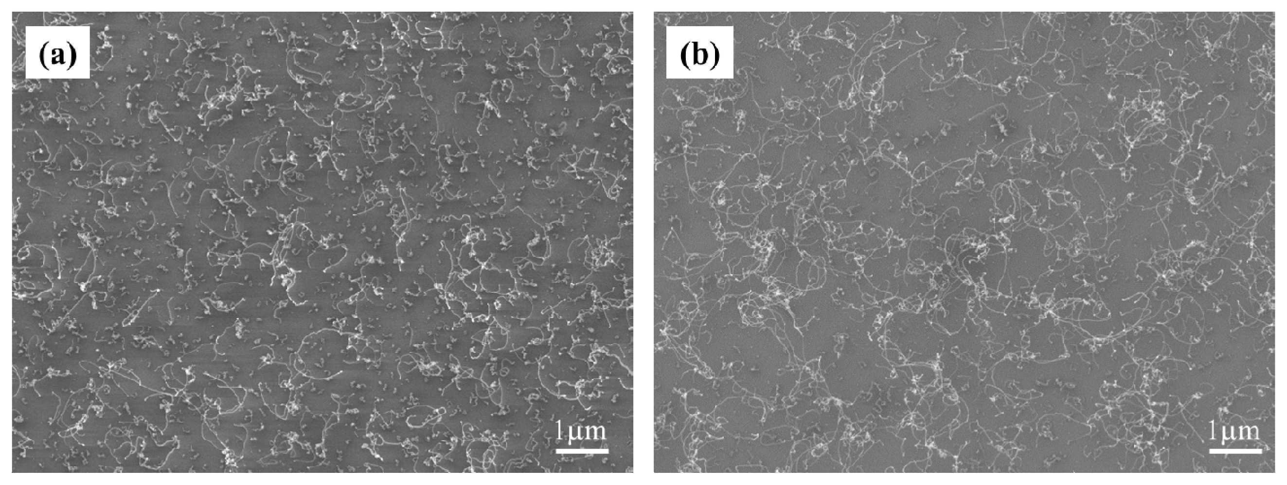 Carbon 05 00046 g002 Carbon 05 00046 g002