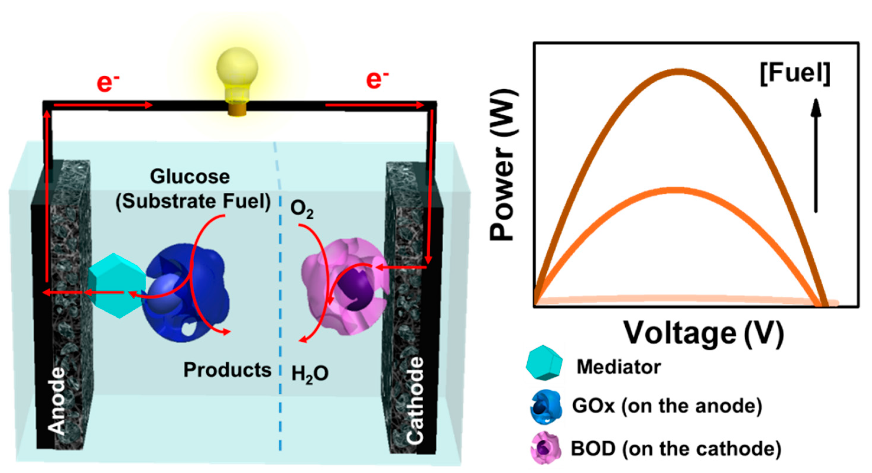 Carbon 05 00062 g004 Carbon 05 00062 g004