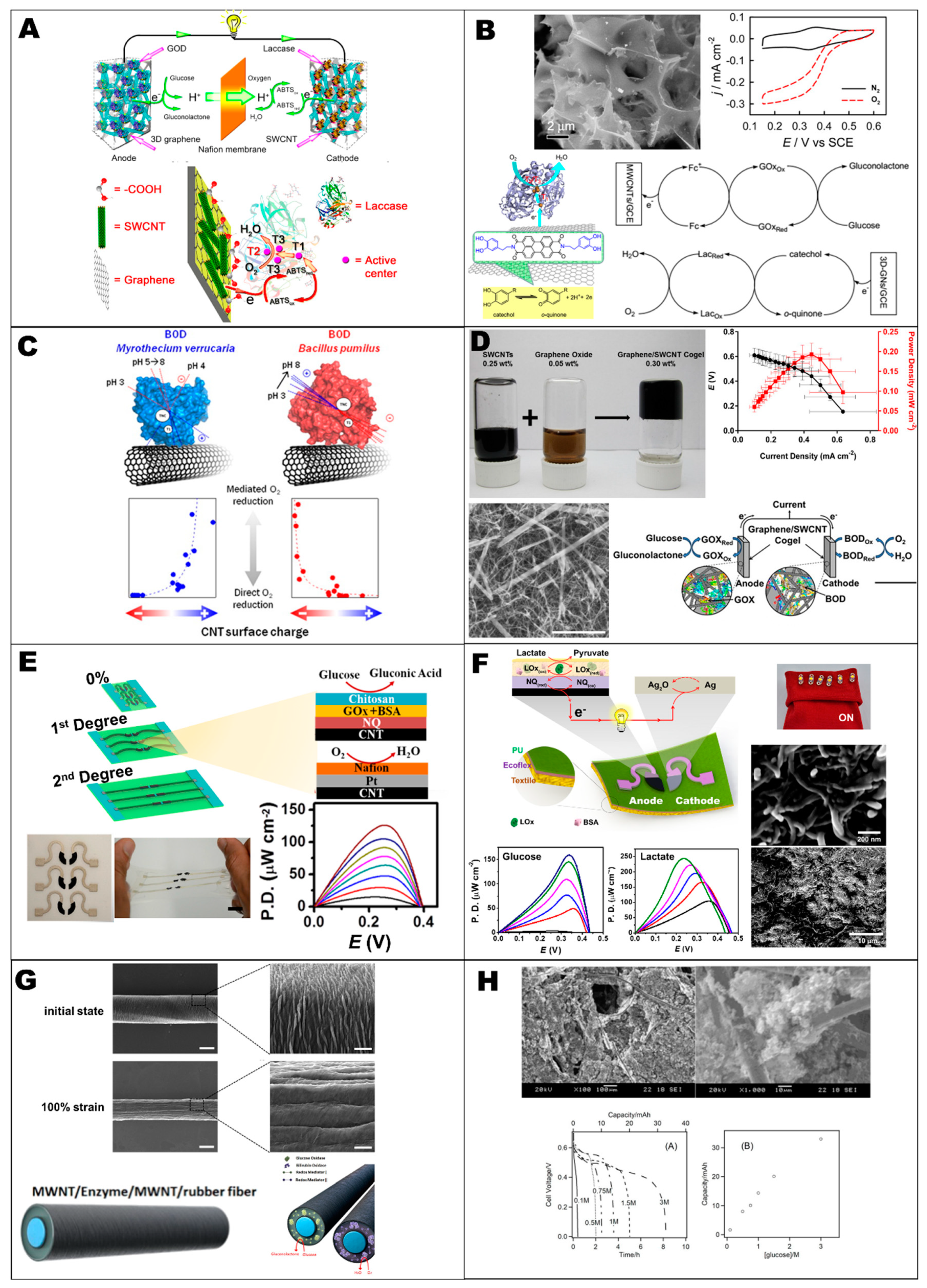 Carbon 05 00062 g005 Carbon 05 00062 g005