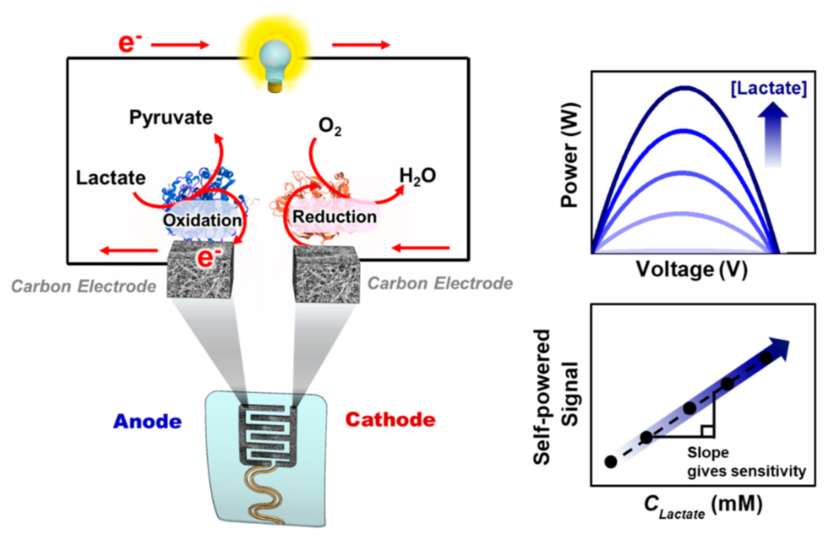 Carbon 05 00062 g006 Carbon 05 00062 g006