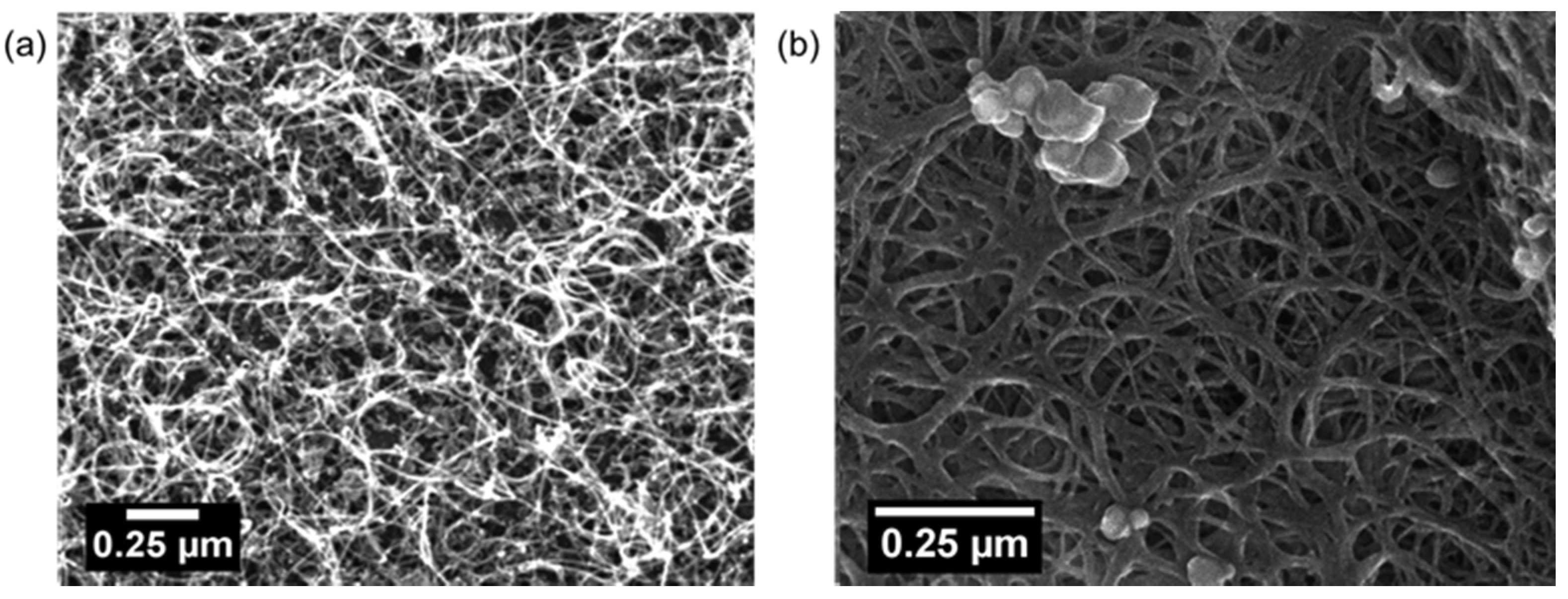 Carbon 05 00065 g004 Carbon 05 00065 g004