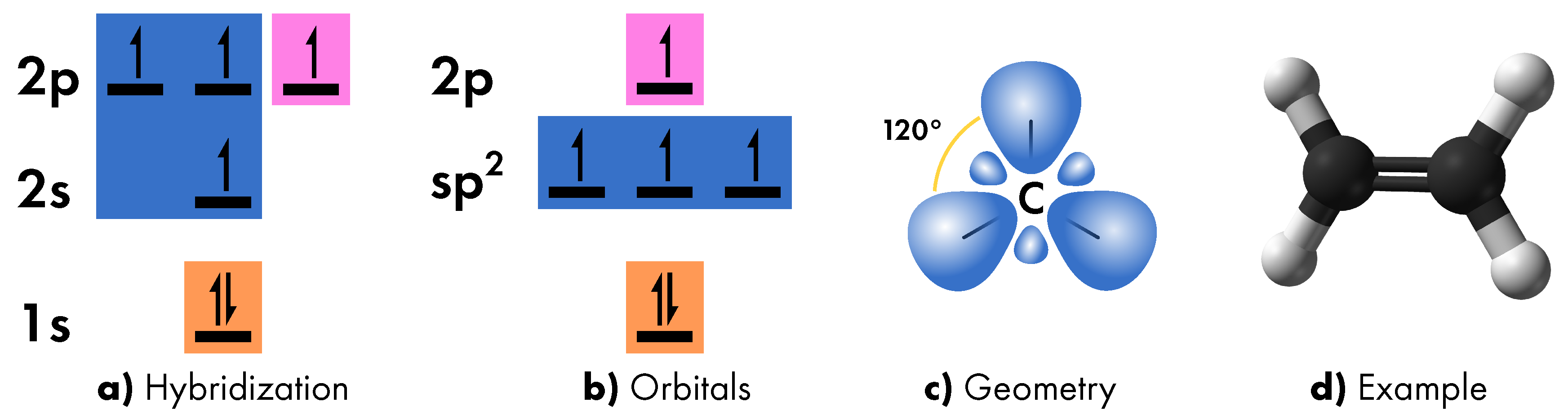 Figure 4.(a). orbitals, and (d) example of such hybridization in ethene mol...