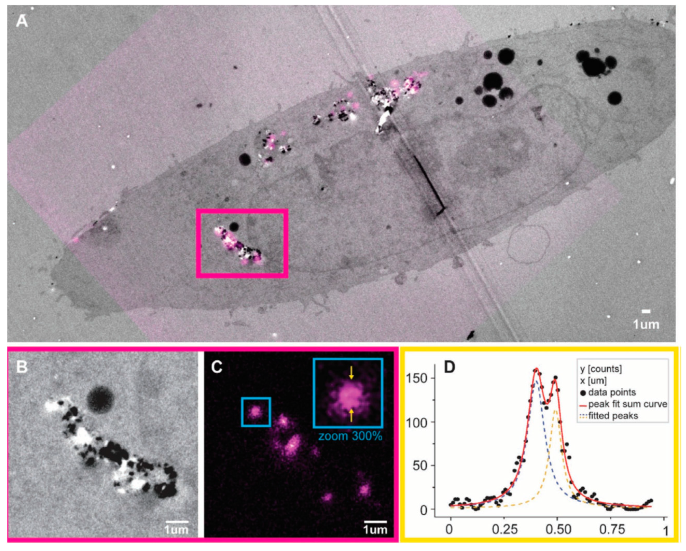 Carbon 05 00072 g012 Carbon 05 00072 g012