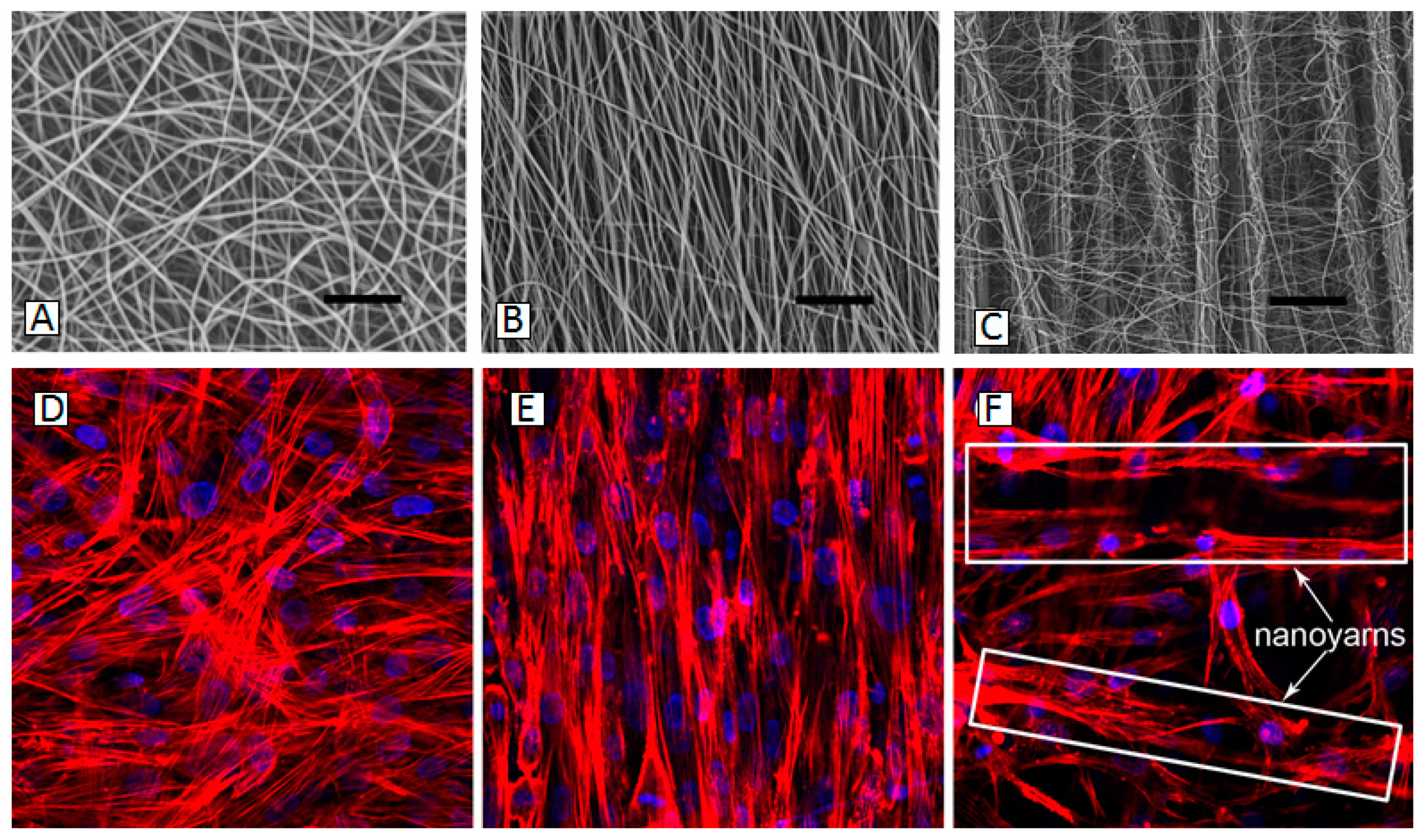 Carbon 05 00072 g020 Carbon 05 00072 g020