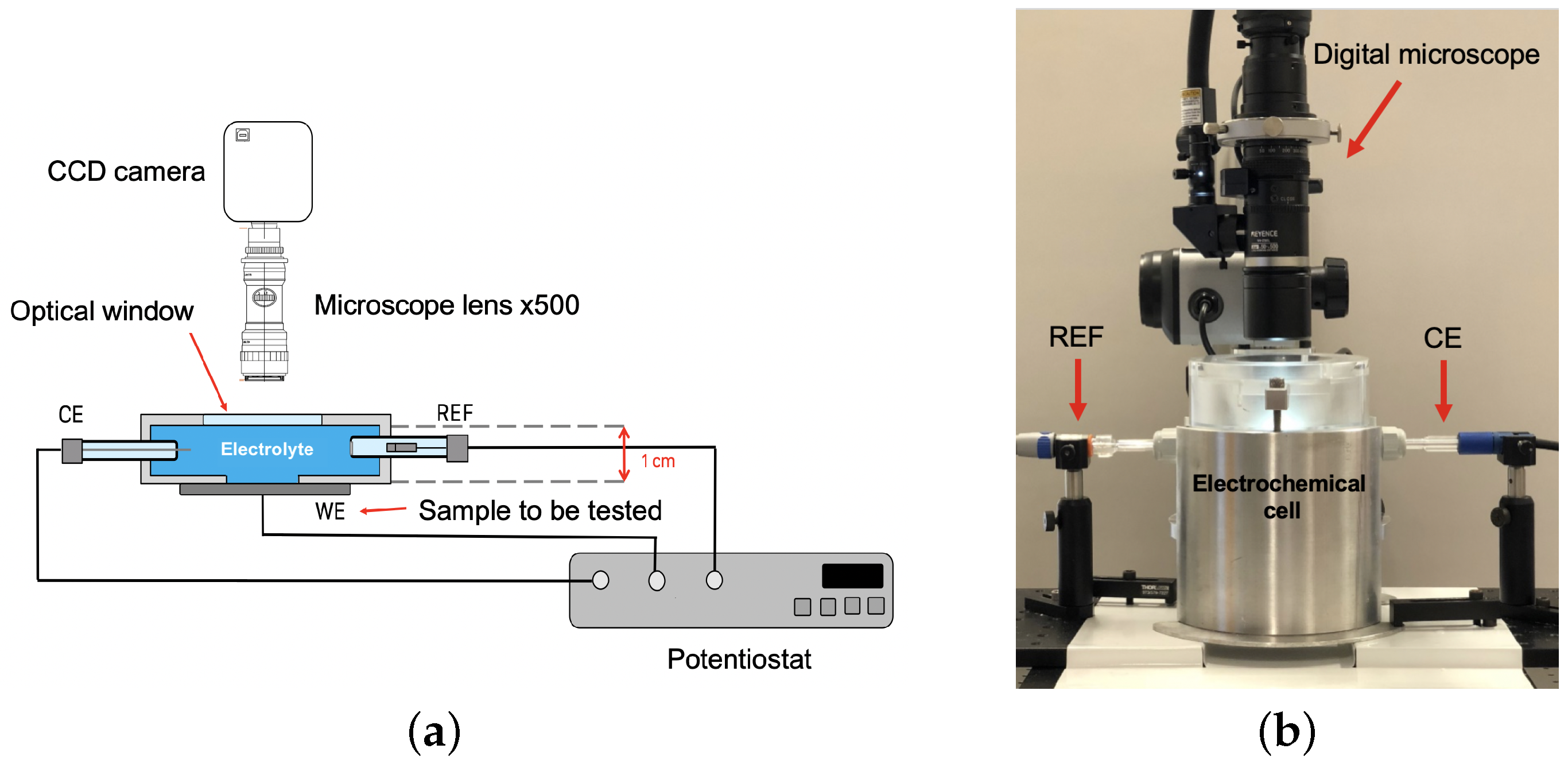 Carbon 05 00073 g001 550