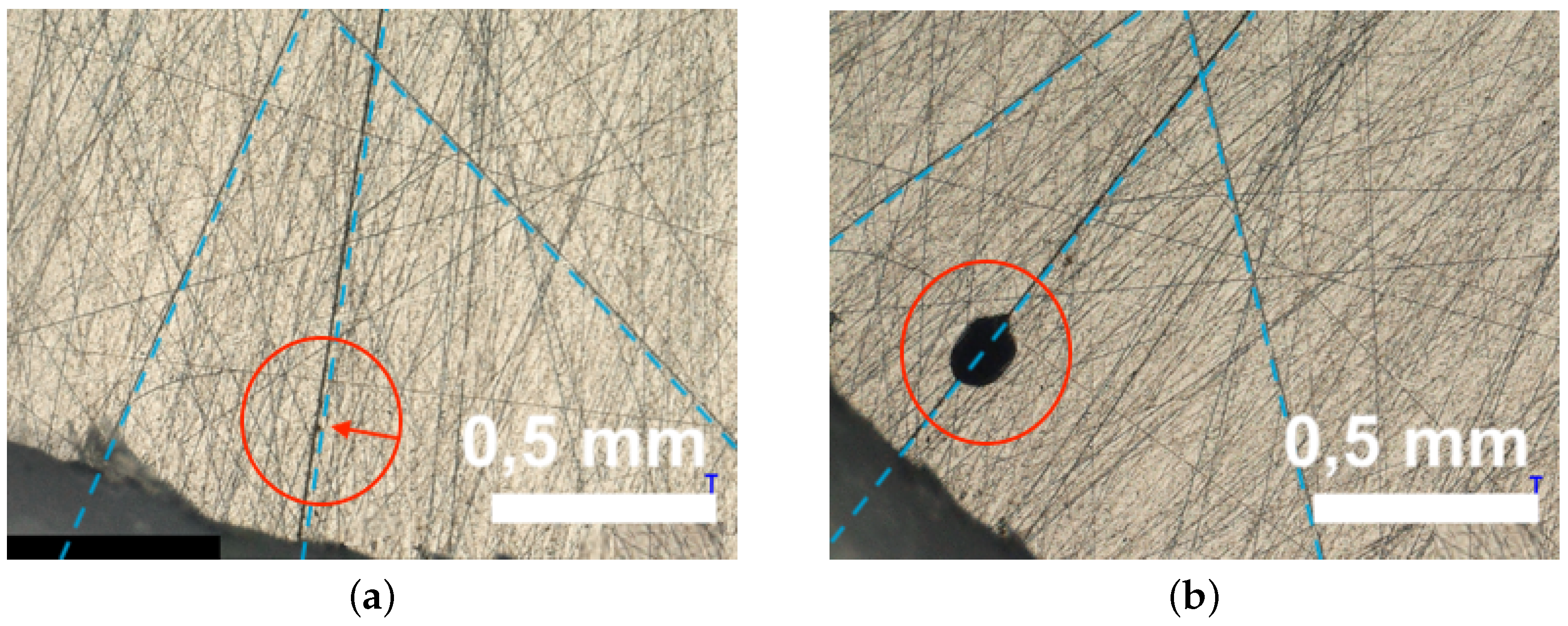 Carbon 05 00073 g004 550