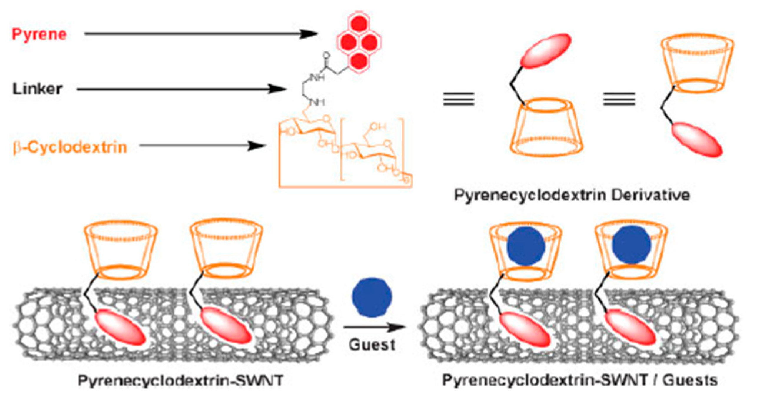 Carbon 05 00078 sch007