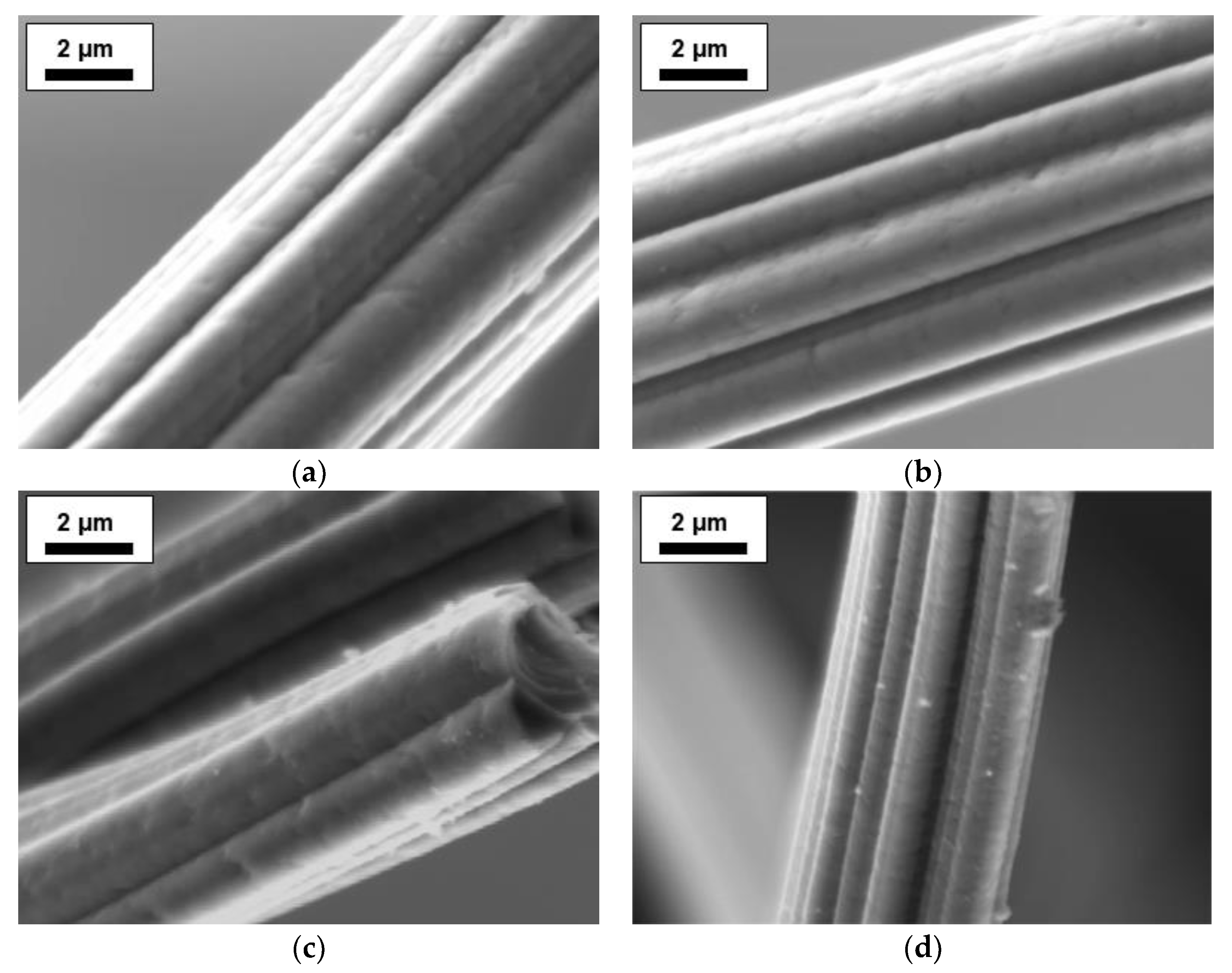 Carbon 06 00017 g001