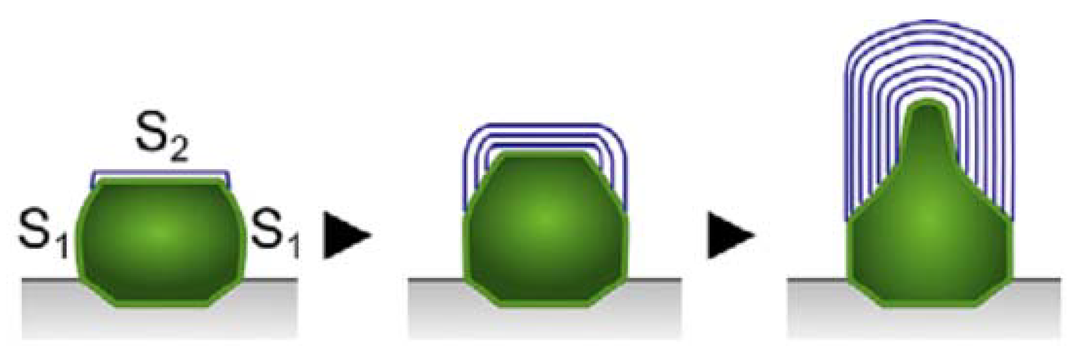 Carbon 06 00018 g003 Carbon 06 00018 g003