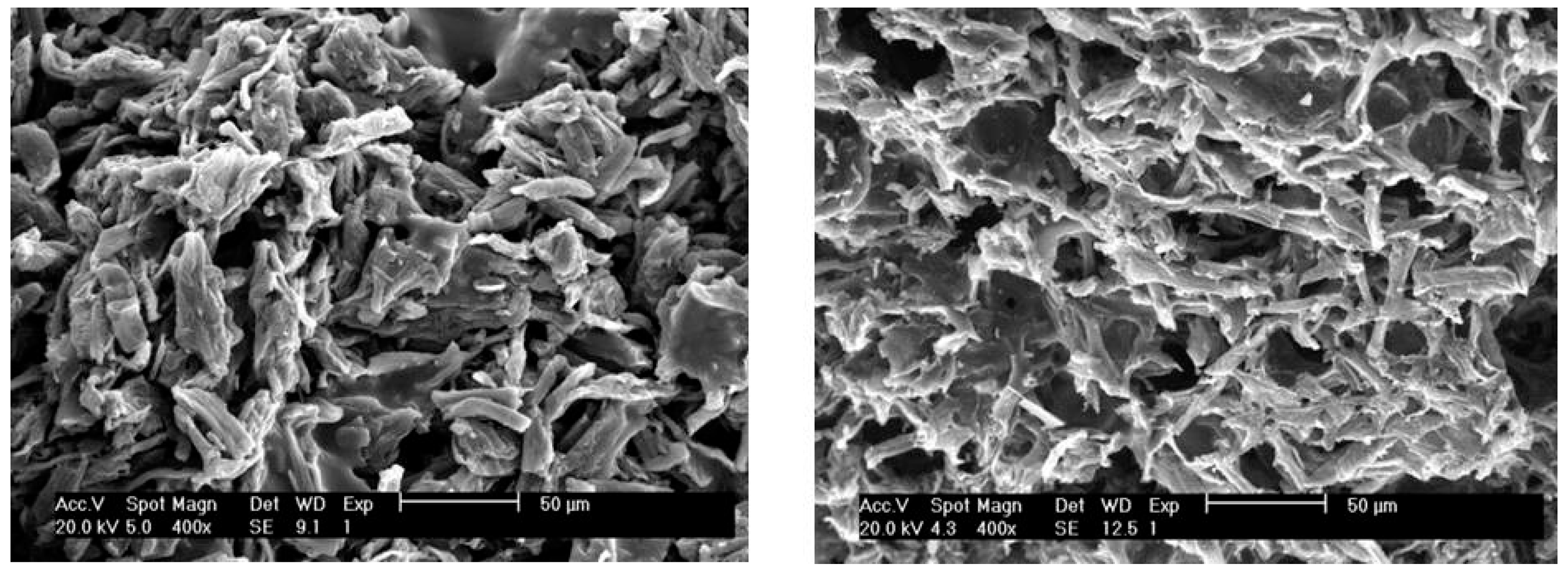 Carbon 06 00032 g003 550